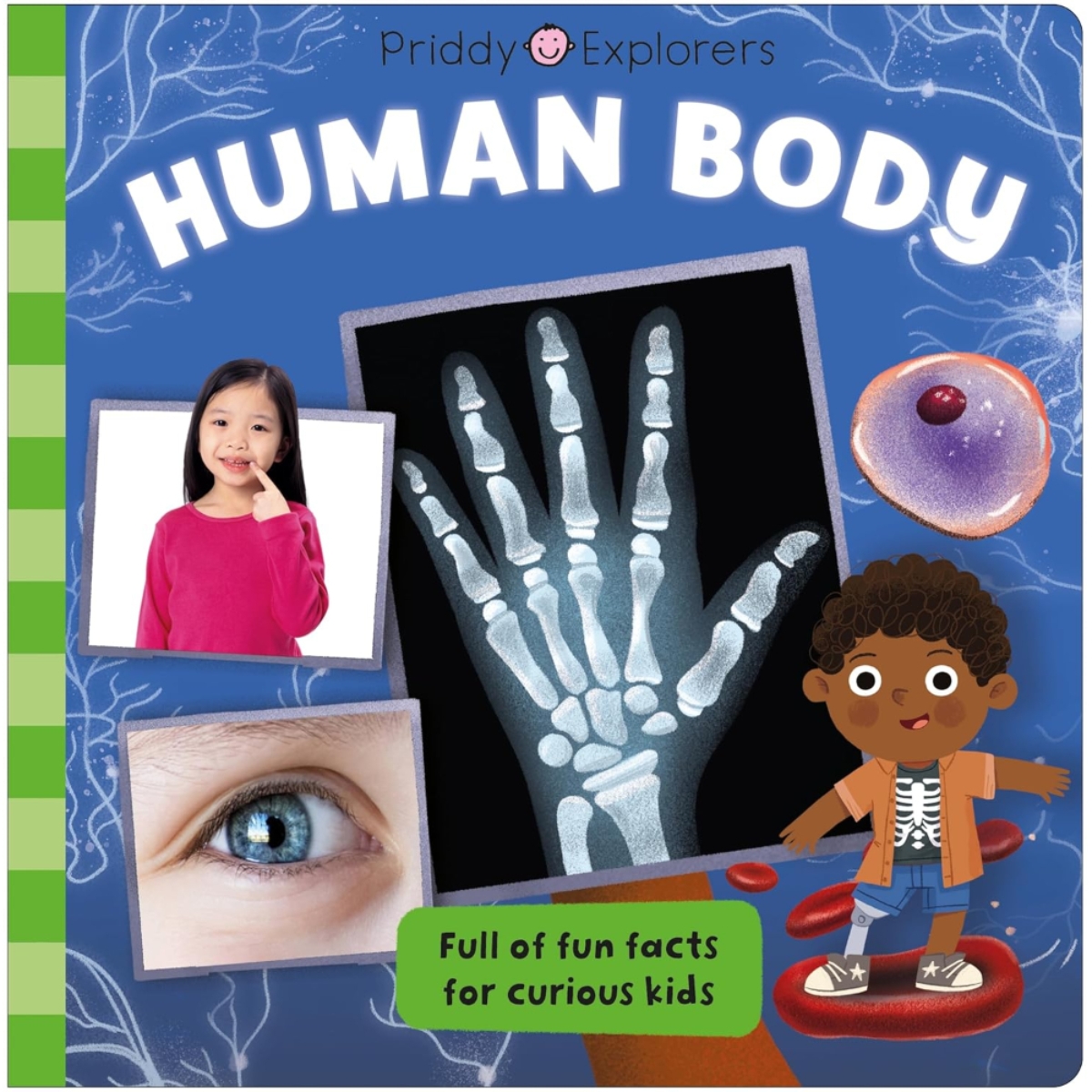 Priddy Explorers Human Body من تأليف روجر بريدي – 13 يونيو 2024