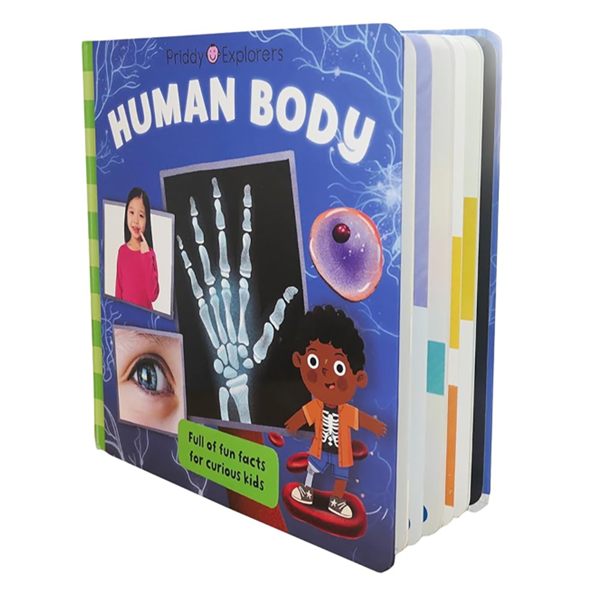 Priddy Explorers Human Body من تأليف روجر بريدي – 13 يونيو 2024