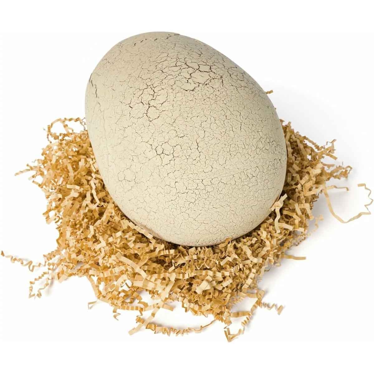 برايمال هاتش مجموعة ديناصور فقس من عالم جوراسيك، للأولاد، 5-7 سنوات