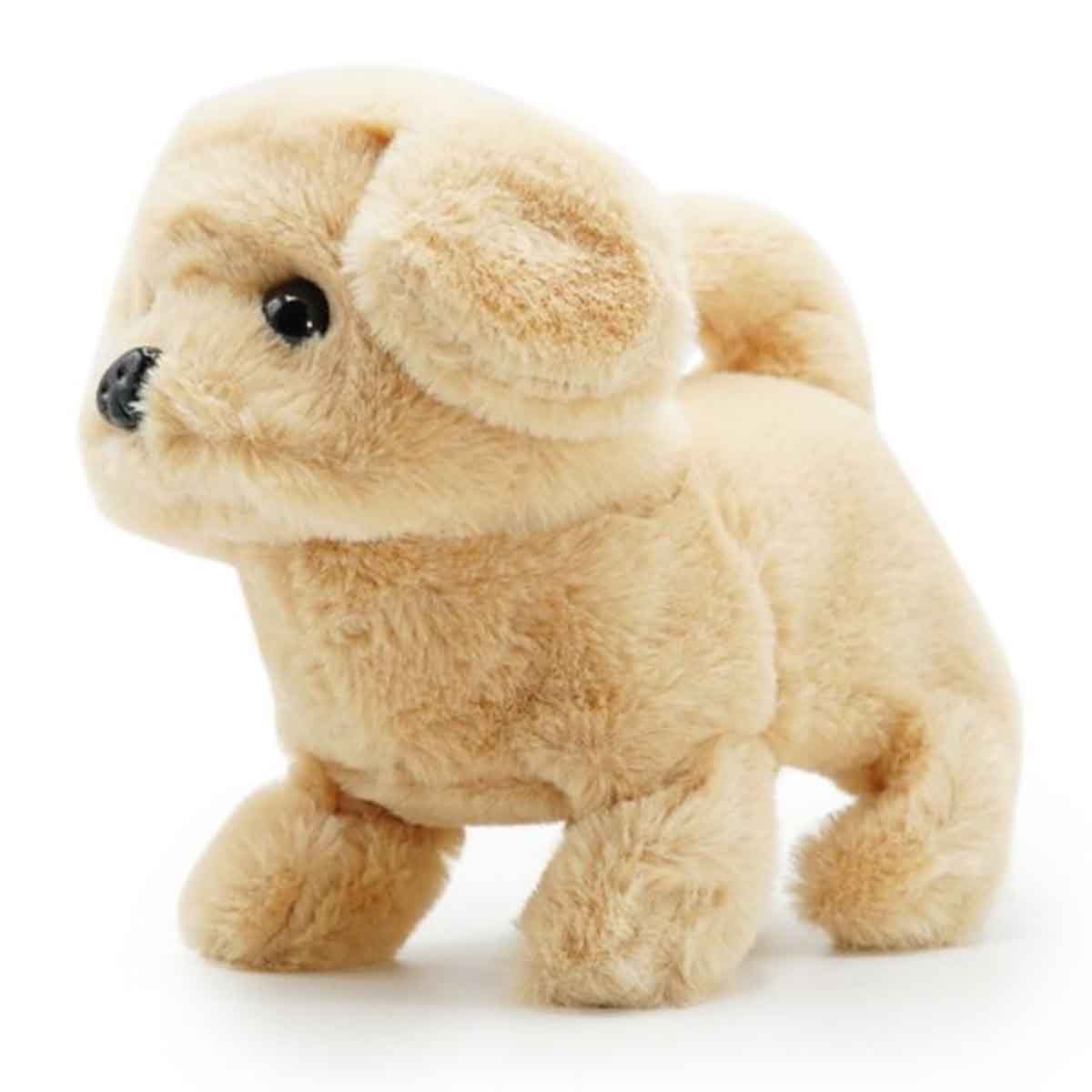 باغز آت بلاي لعبة غولدي 6.5 إنش بطارية يمشي للجنسين، 3-4 سنوات