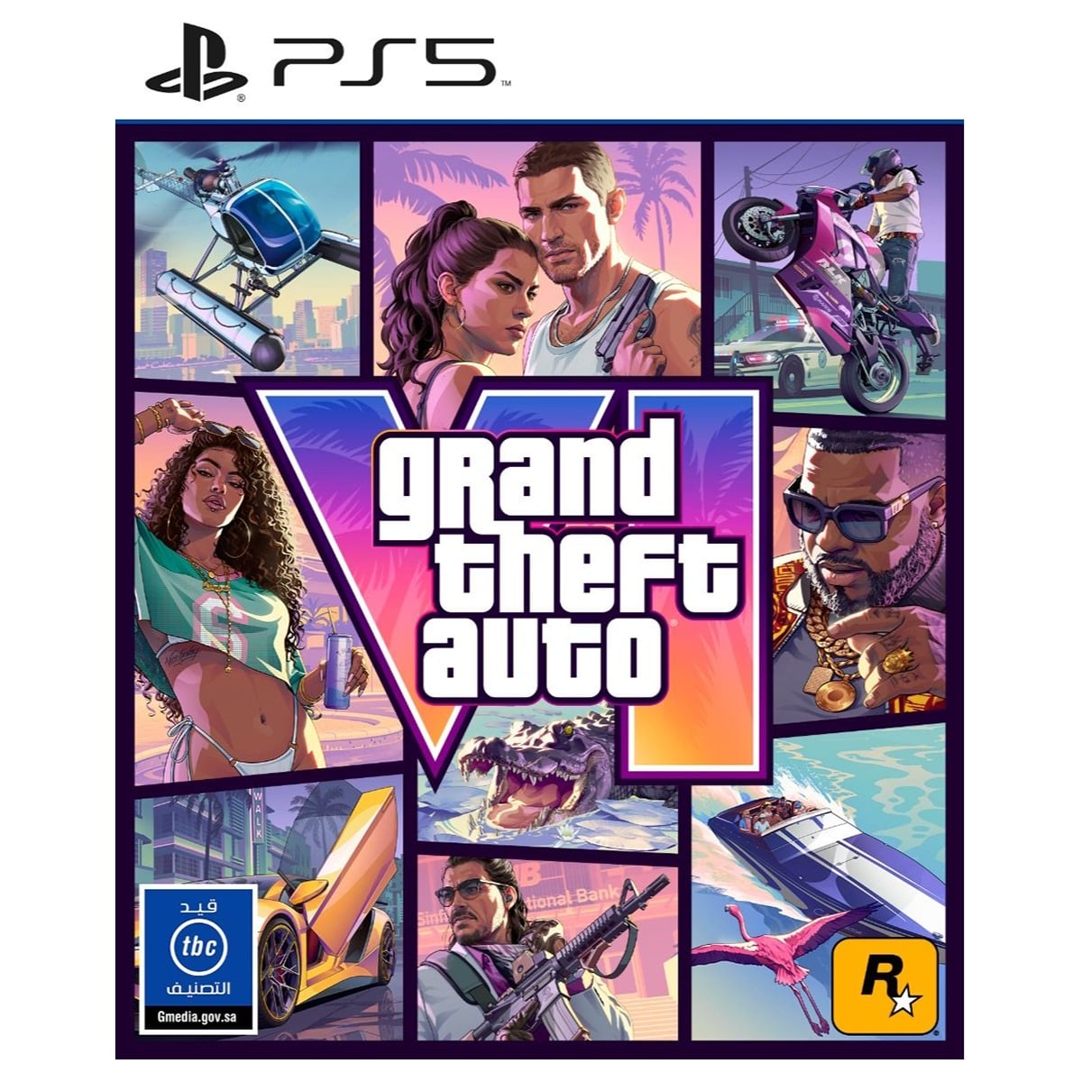 Rockstar Games Grand Theft Auto VI Video Game