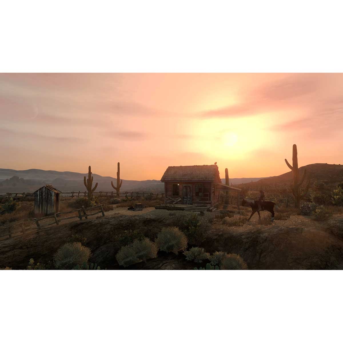 Rockstar Games Red Dead Redemption Video Game for PS5