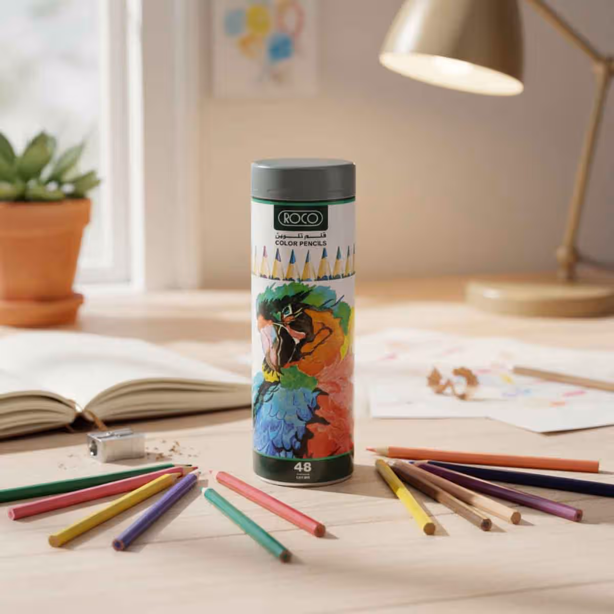 Roco 48-Piece Medium Assorted Color Pencil Set