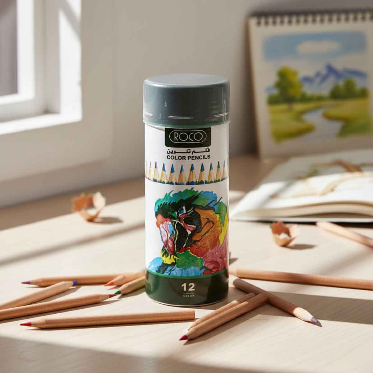 Roco 12-Piece Assorted Color Pencil Set