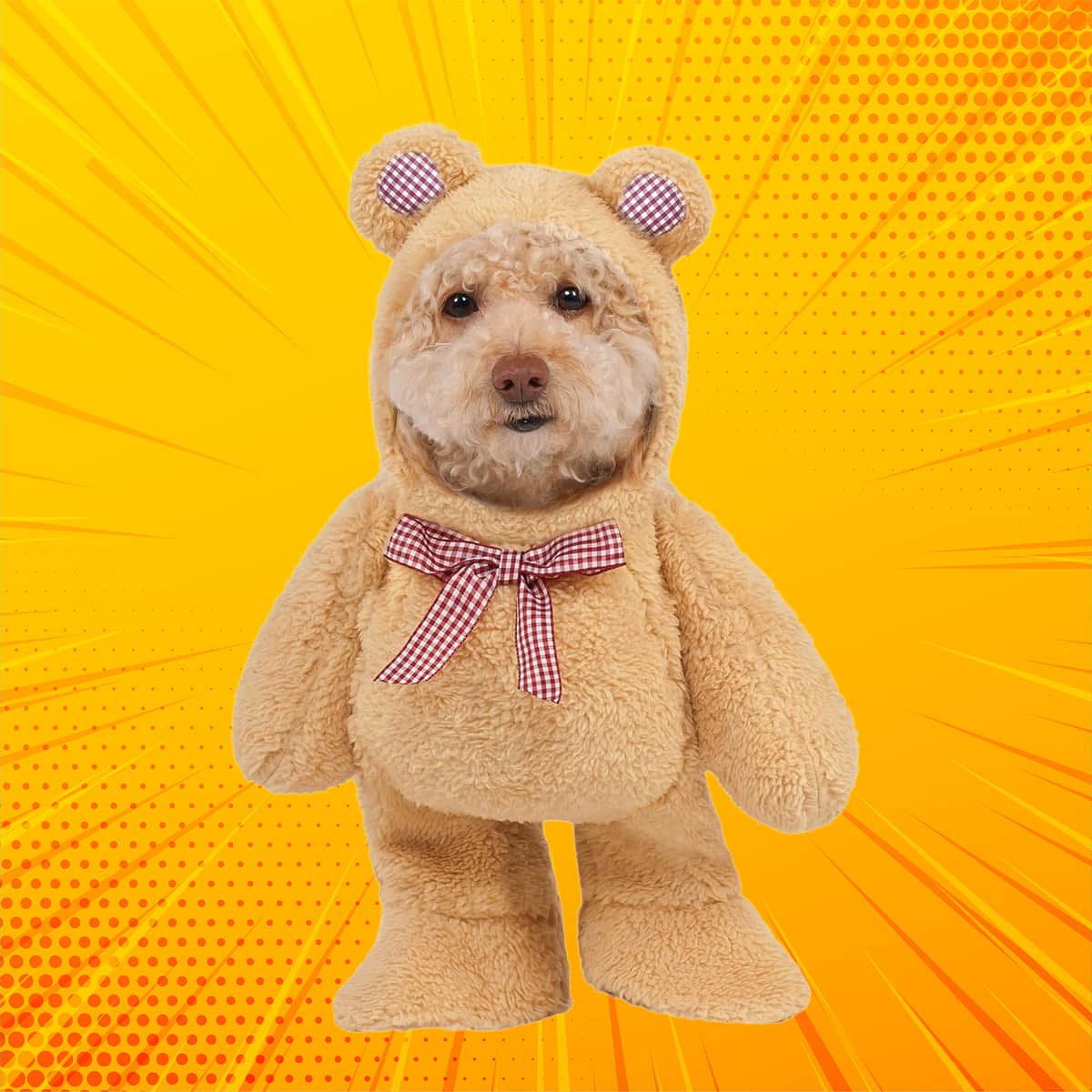 Rubies S Walking Teddy Bear Pet Costume