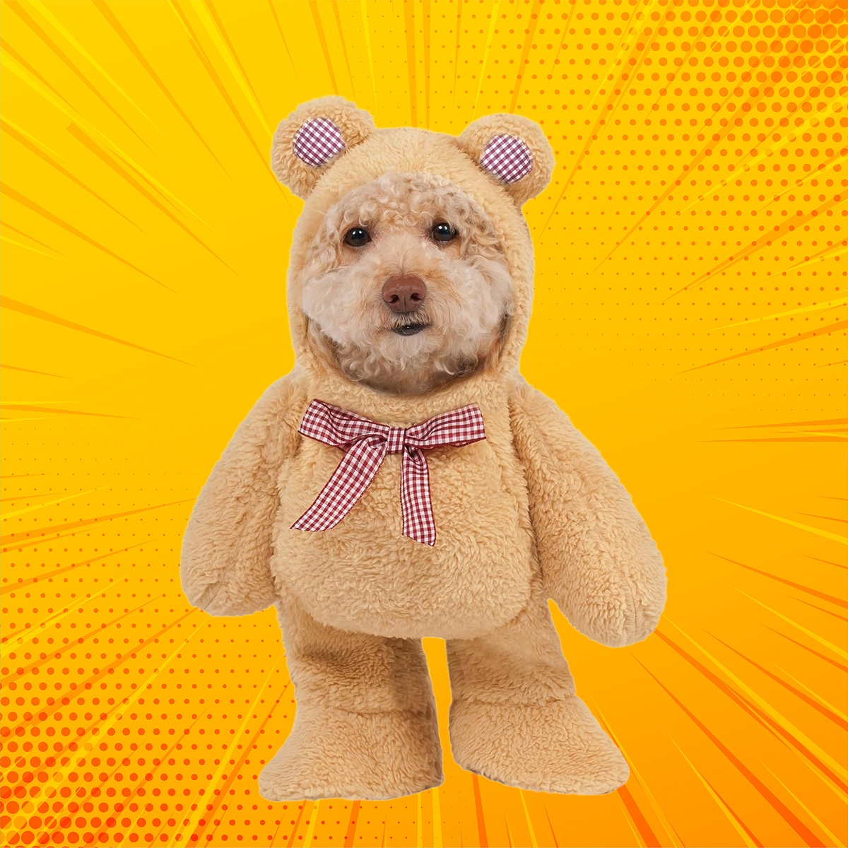 Rubies S Walking Teddy Bear Pet Costume