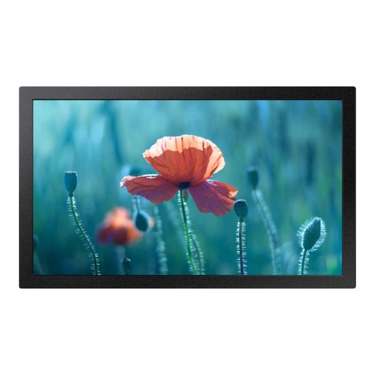 Samsung 13" QB13R Commercial Display