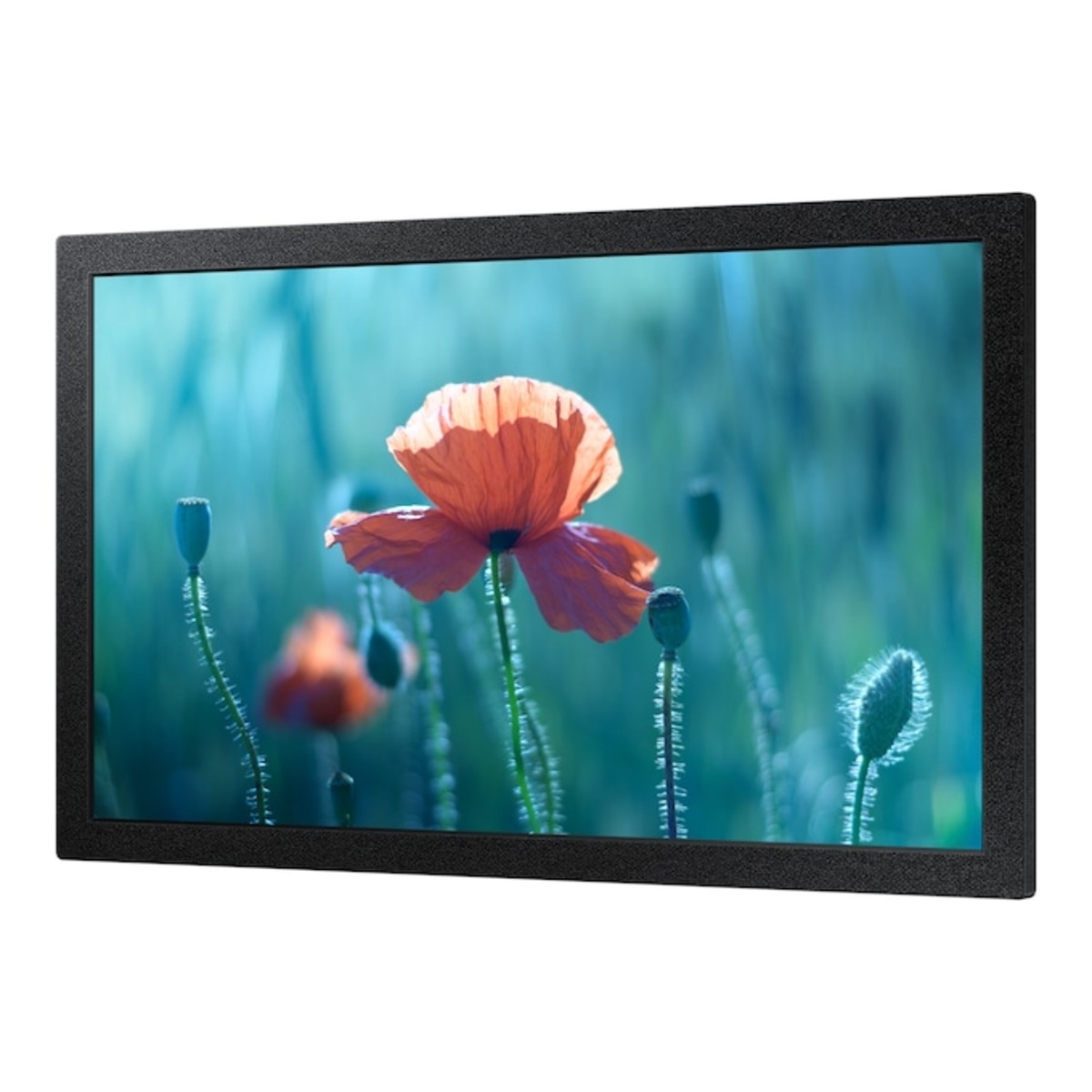 Samsung 13" QB13R Commercial Display