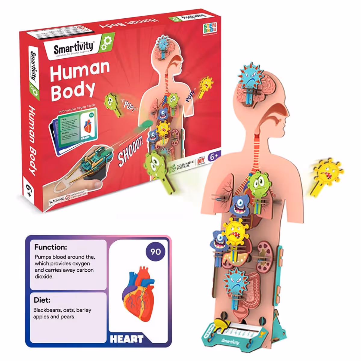Smartivity Human Body Science Kit Unisex, 5-7 Years