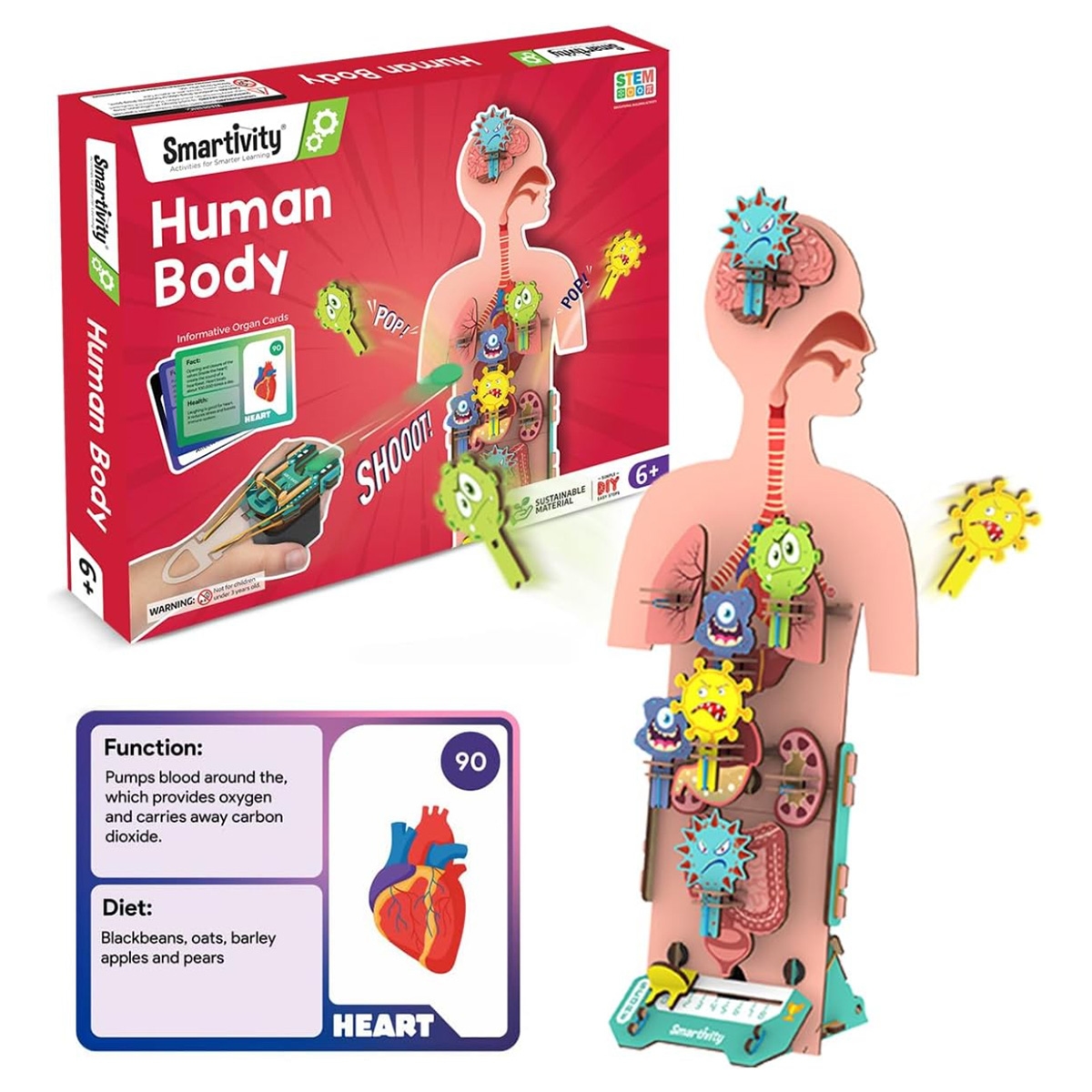 سمارتيفيتي مجموعة علوم جسم الإنسان للجنسين، 8-10 سنوات