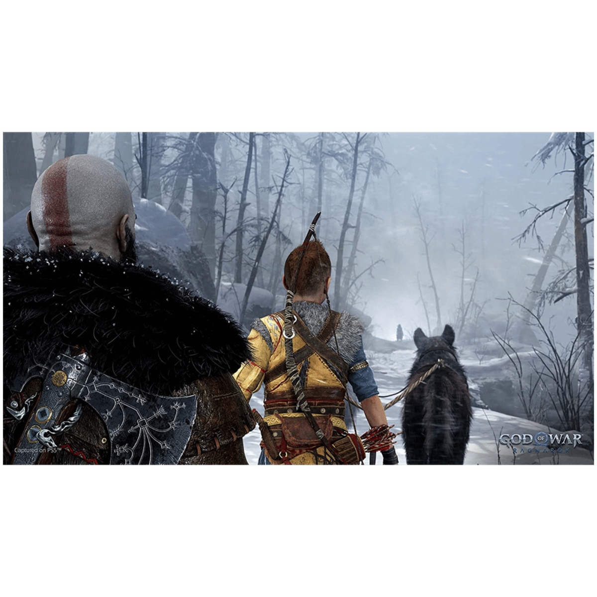 Sony God of War: Ragnarok Video Game PlayStation 5