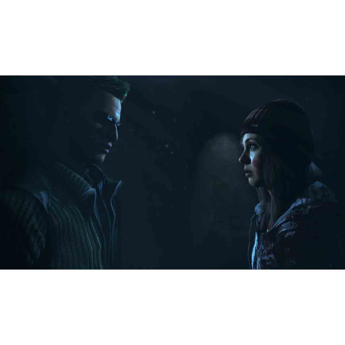 Sony Until Dawn (International Version) Video Game for PlayStation 4