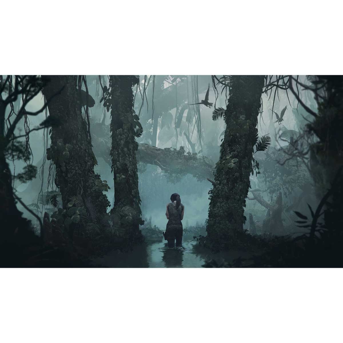 Square Enix Tomb Raider Definitive Edition Video Game for PS4
