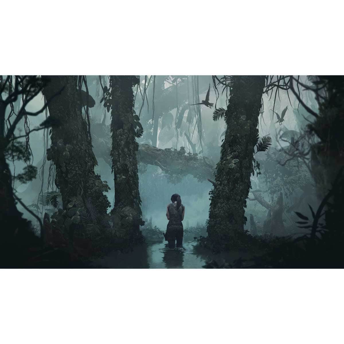 Square Enix Tomb Raider Definitive Edition Video Game for PS4
