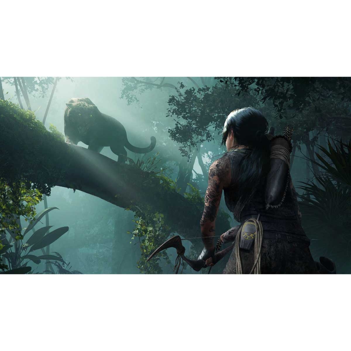 Square Enix Tomb Raider Definitive Edition Video Game for PS4