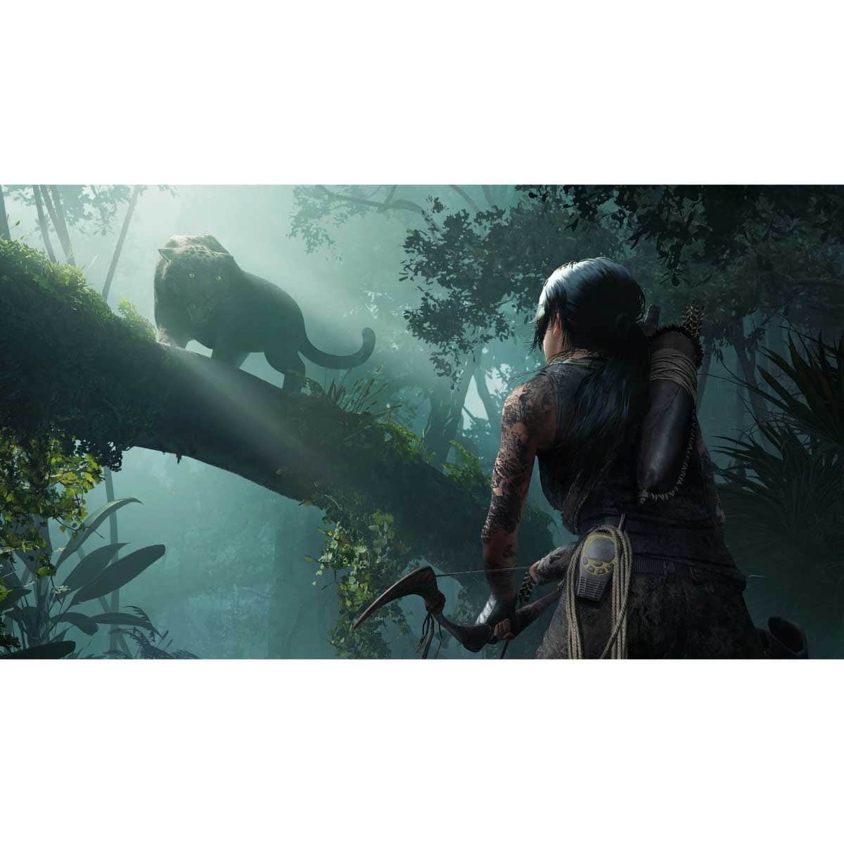 Square Enix Tomb Raider Definitive Edition Video Game for PS4