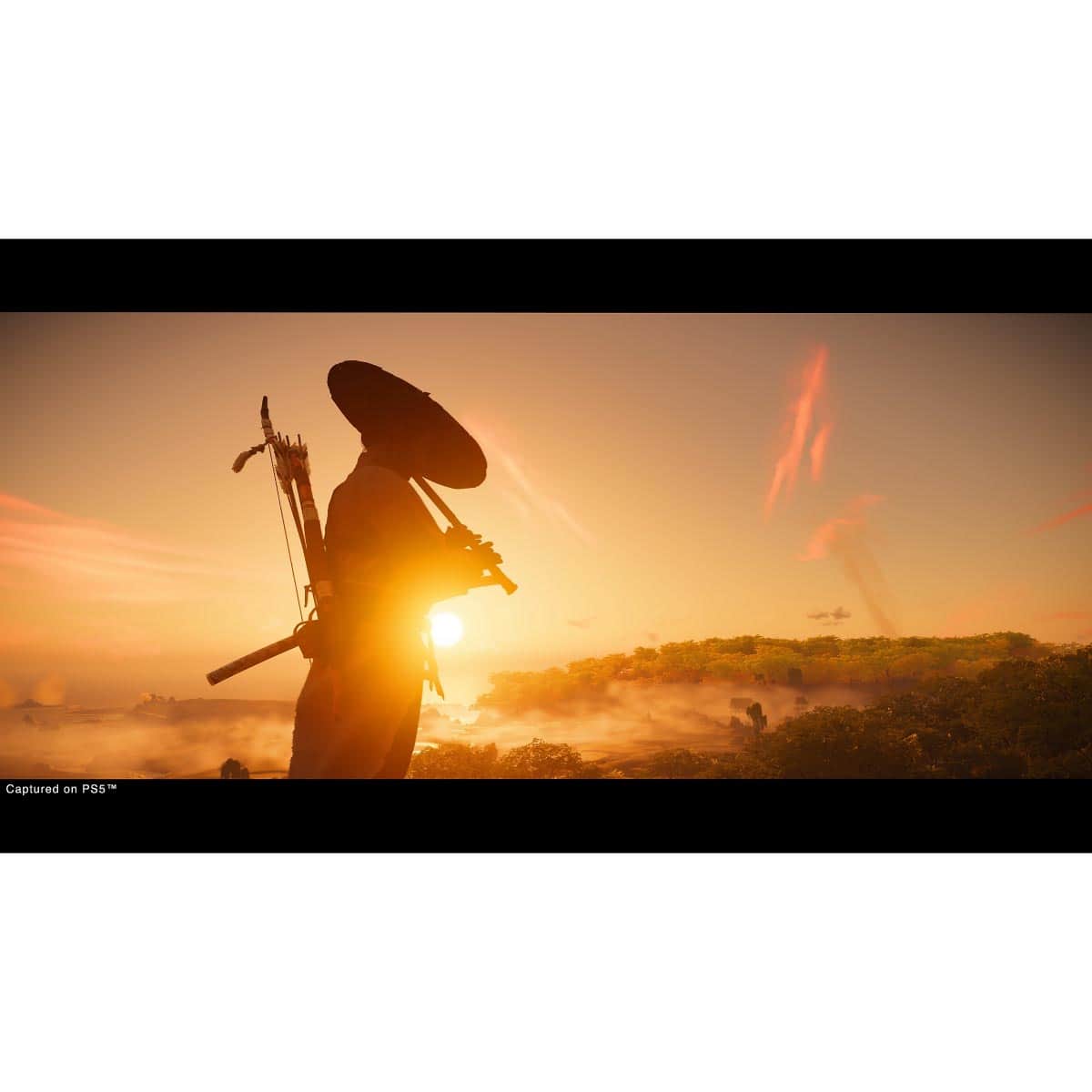 Sucker Punch Ghost of Tsushima Director’s Cut (KSA Version) Video Game for PS4