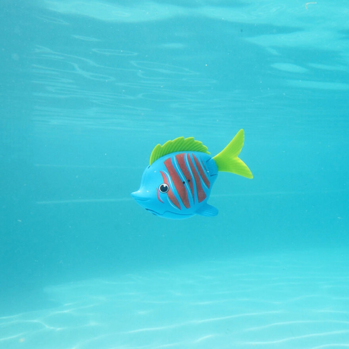 Swimways Rainbow Reef Beta Fish Water Toy Unisex, 5-7 Years