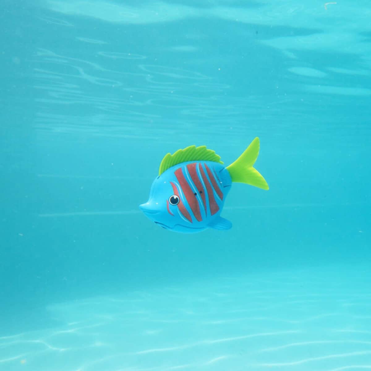 Swimways Rainbow Reef Beta Fish Water Toy Unisex, 5-7 Years