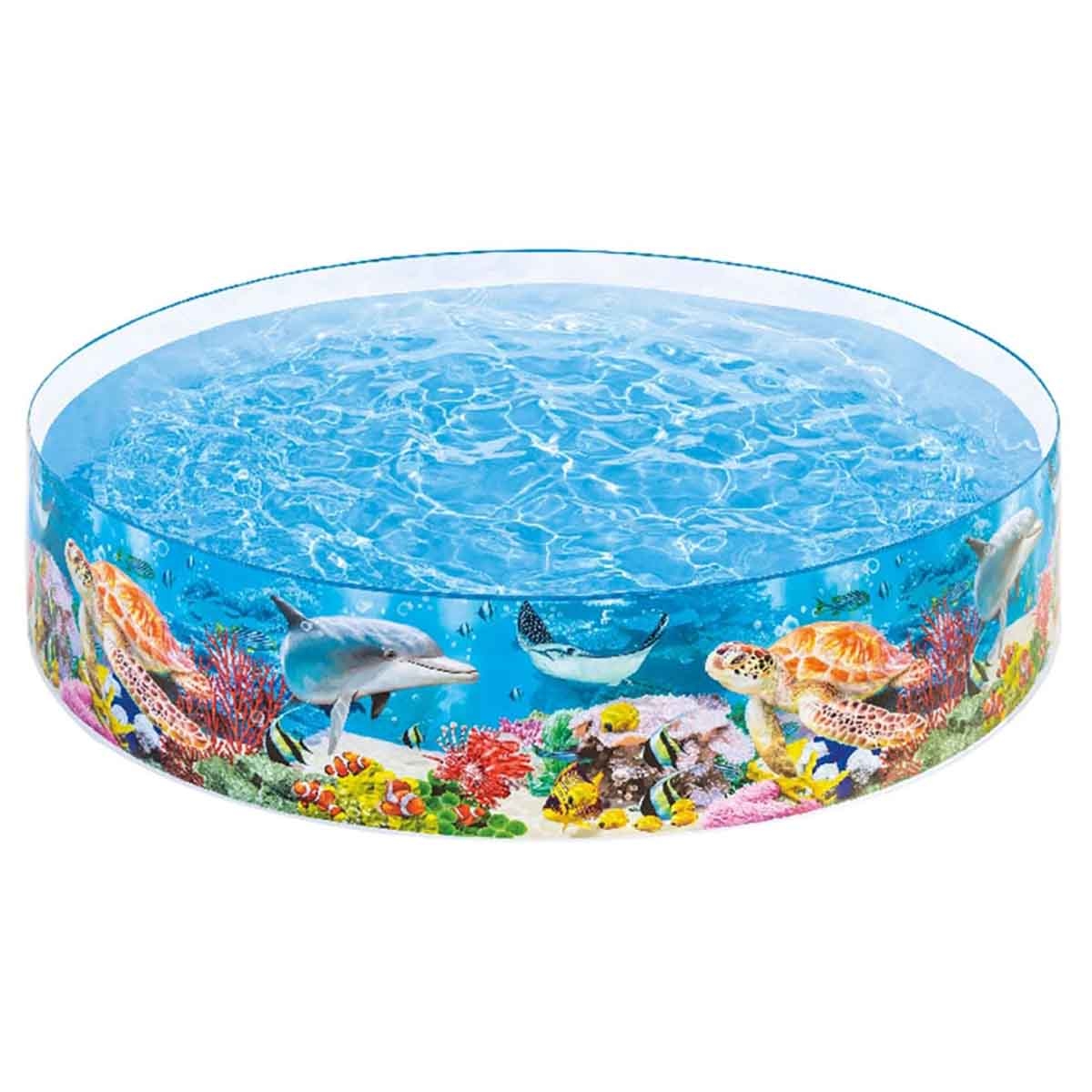 Swimways Rainbow Reef Beta Fish with Zebra Fish Water Toy Water Toy & Swimming Pool Bundle Unisex, 5-7 Years