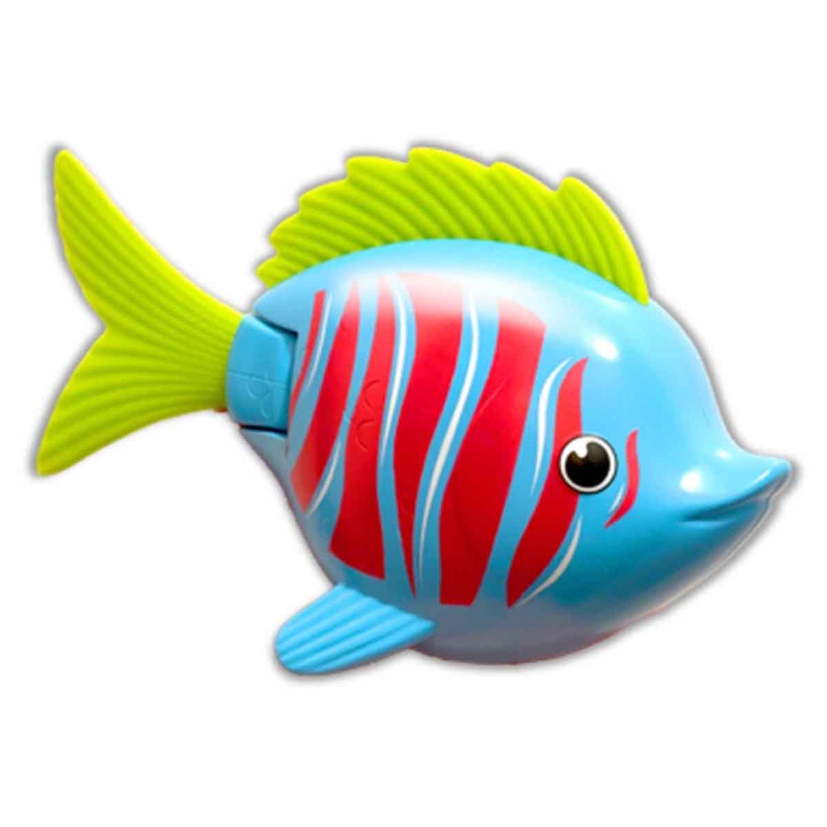 Swimways Rainbow Reef Beta Fish with Zebra Fish Water Toy Water Toy & Swimming Pool Bundle Unisex, 5-7 Years