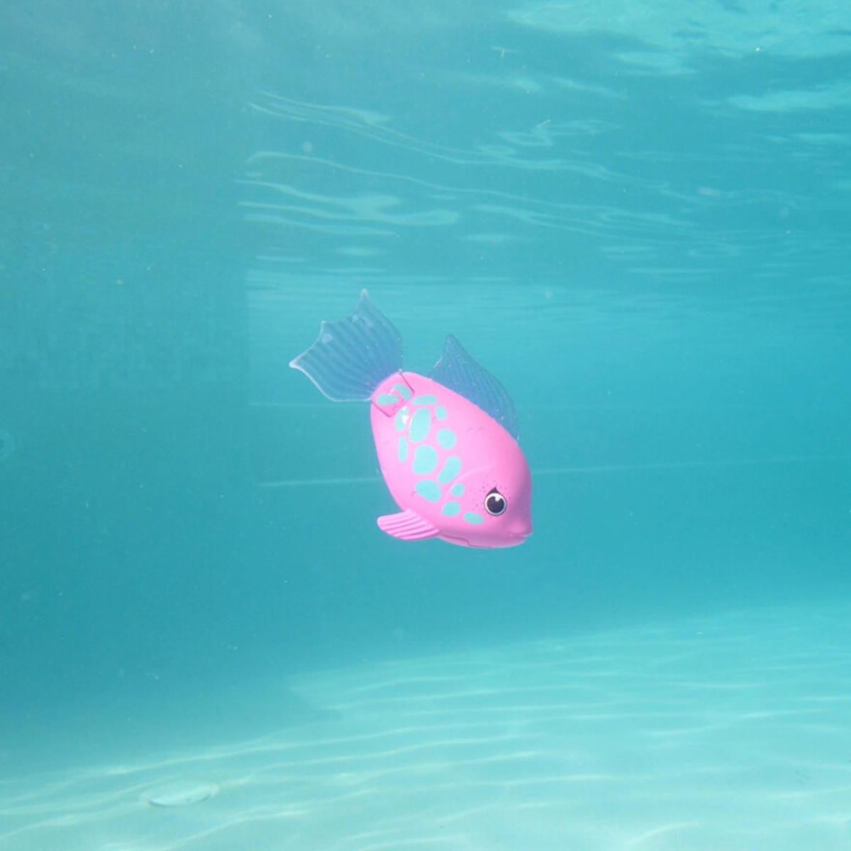 Swimways Rainbow Reef Rainbow Fish Water Toy Unisex, 5-7 Years