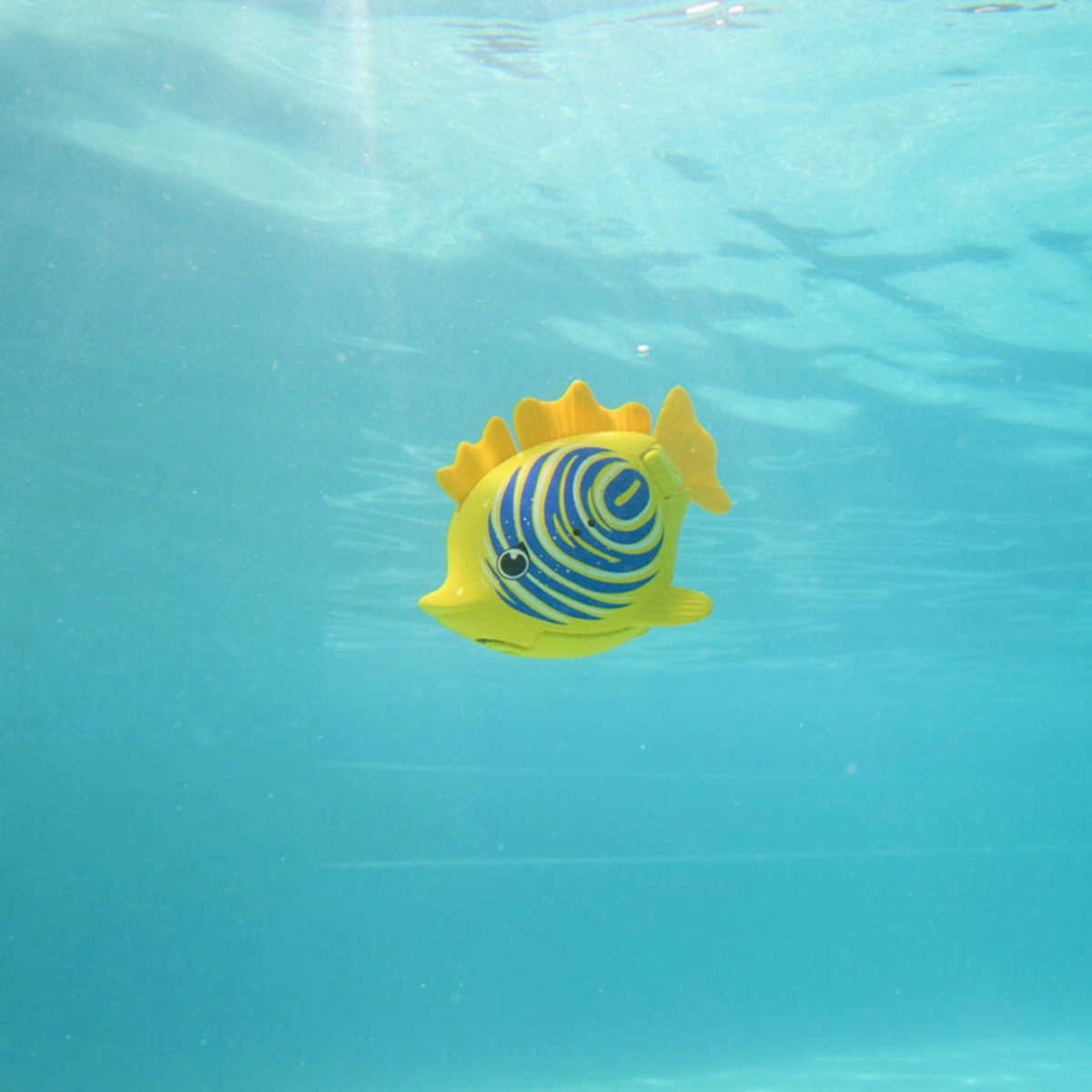 Swimways Rainbow Reef Zebra Fish Water Toy Unisex, 5-7 Years