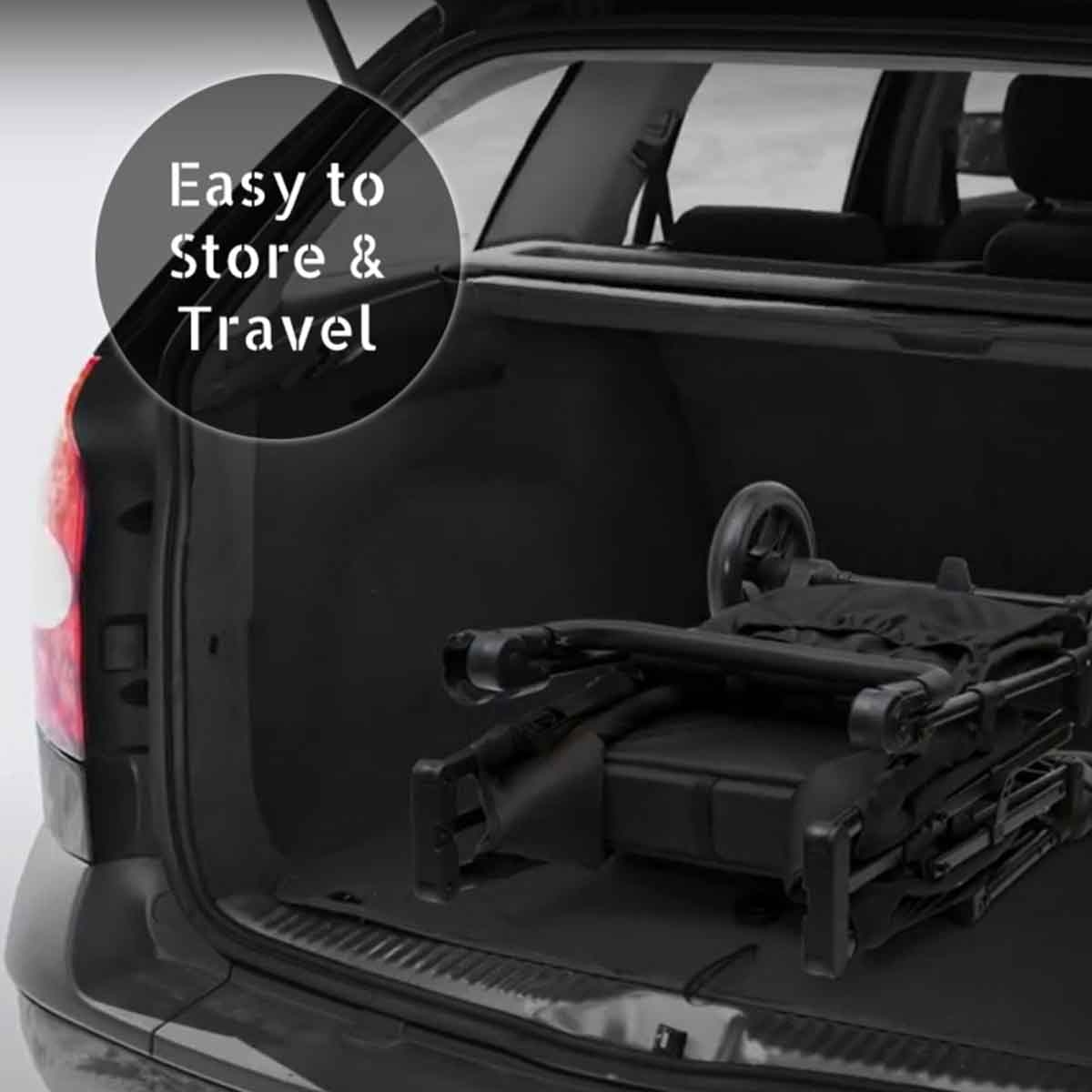 Teknum 2 Kids Fellow Wagon Stroller with Snack Tray Toddler, 0-2 Years