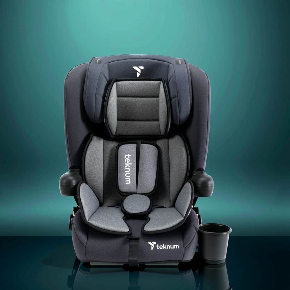 Teknum Grey Pack and Go Foldable Car Seat Toddler, 0-2 Years