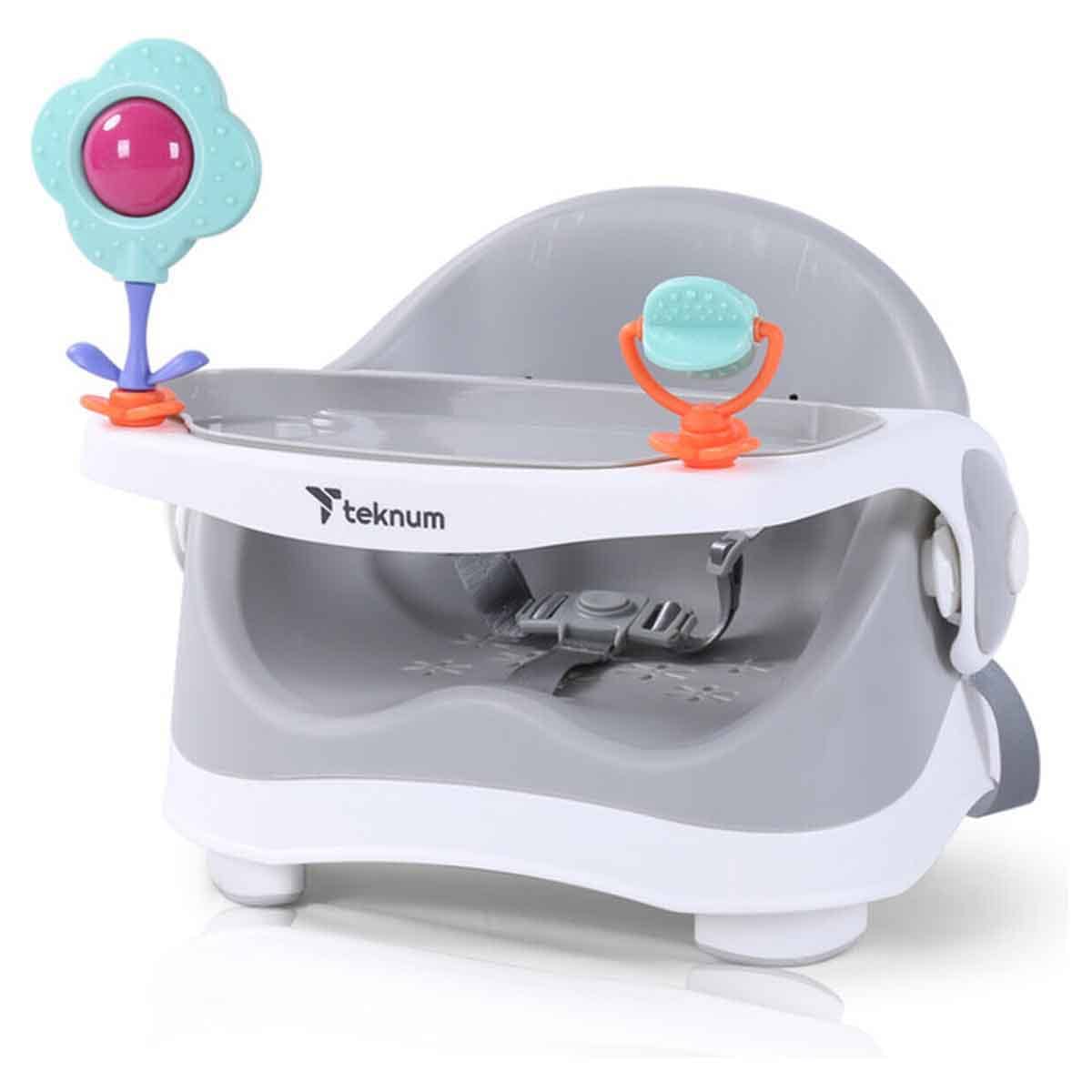 Teknum Grey Portable Booster Chair Toddler, 0-2 Years