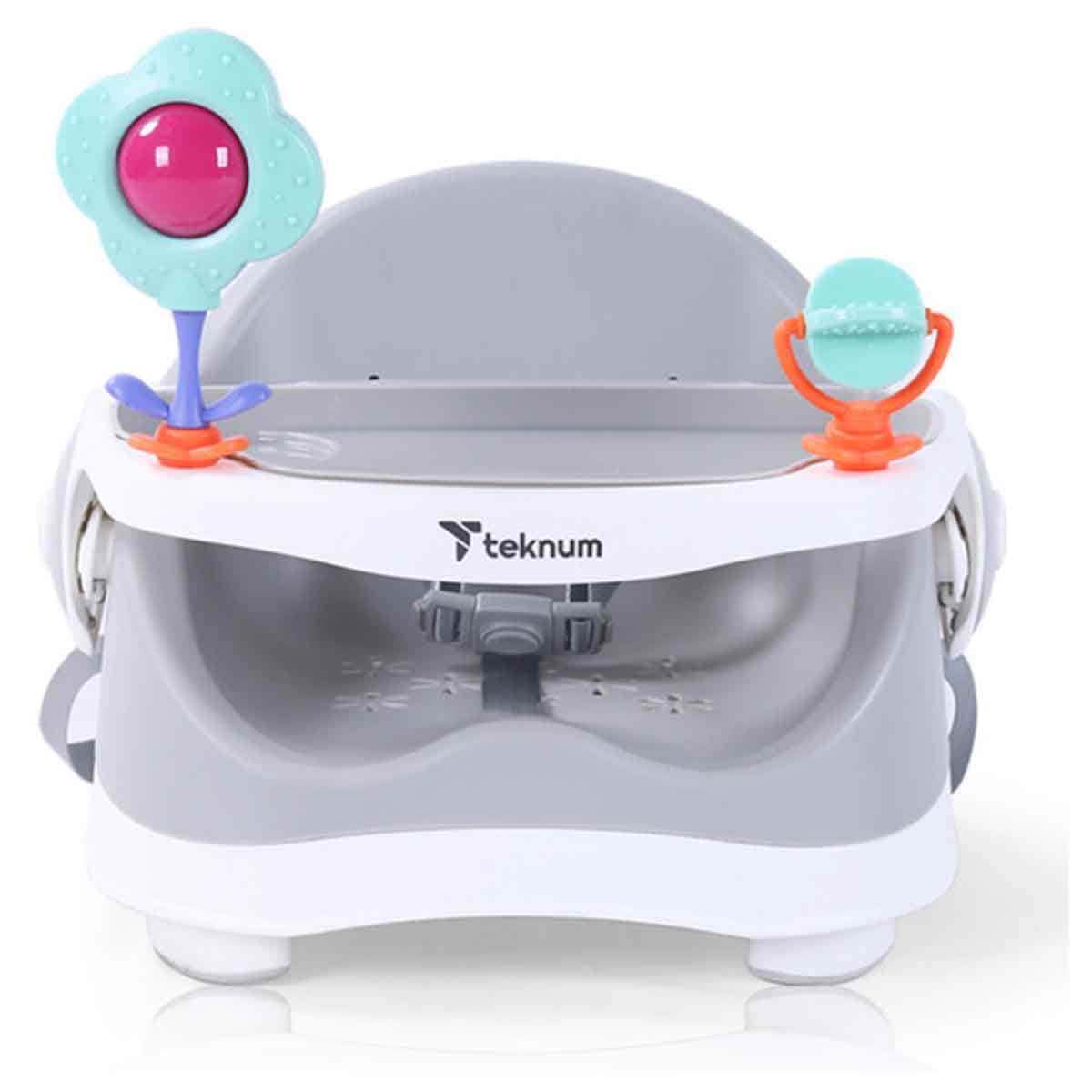 Teknum Grey Portable Booster Chair Toddler, 0-2 Years