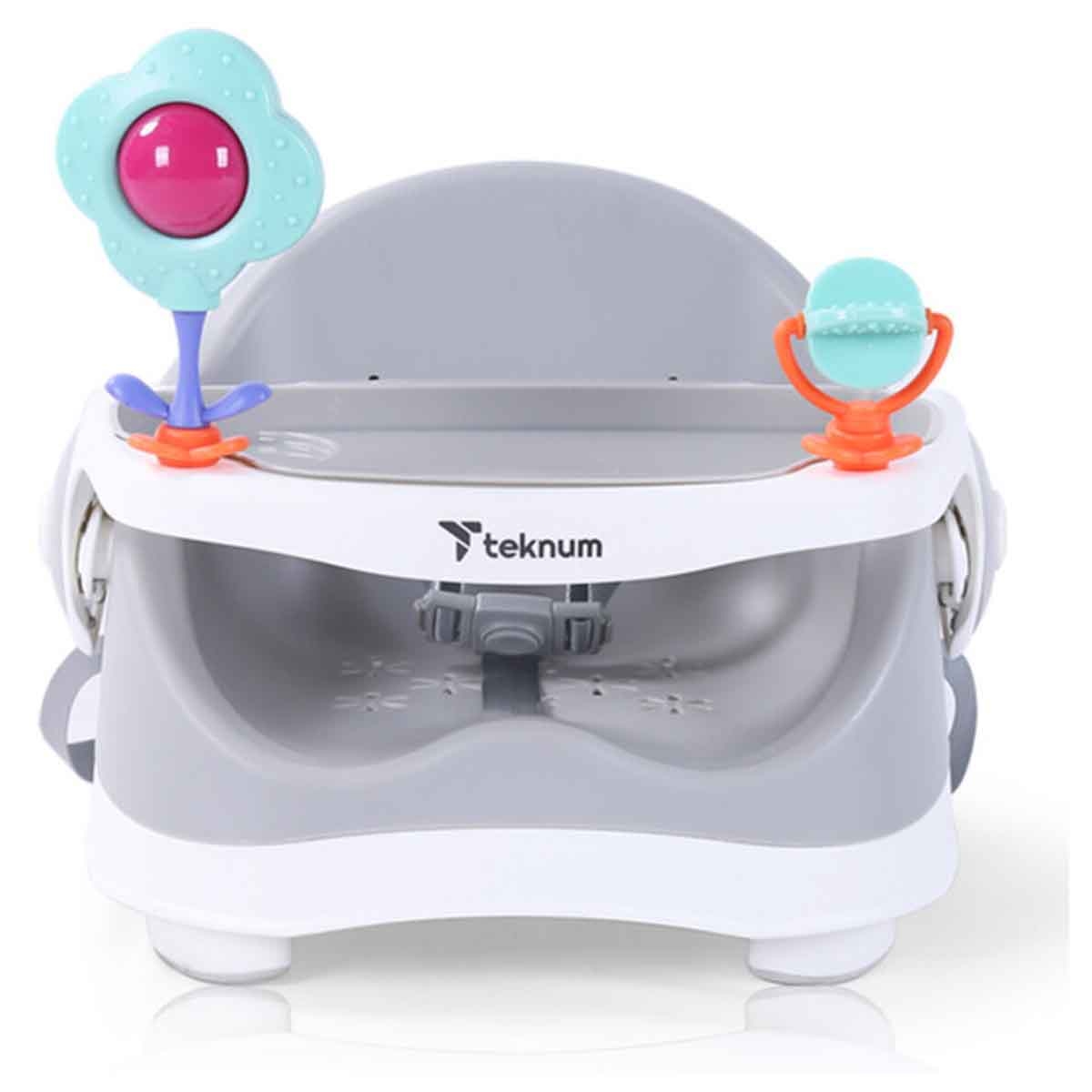 Teknum Grey Portable Booster Chair Toddler, 0-2 Years