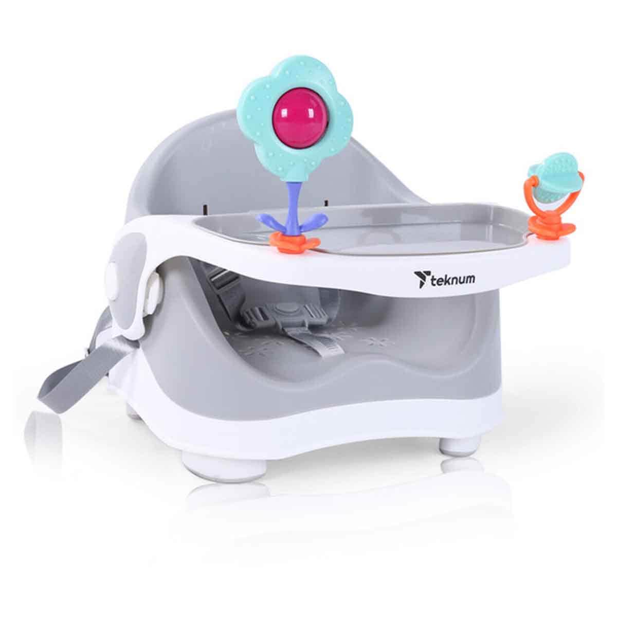 Teknum Grey Portable Booster Chair Toddler, 0-2 Years