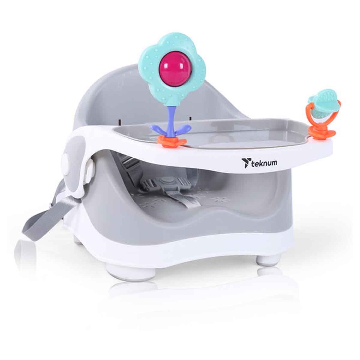 Teknum Grey Portable Booster Chair Toddler, 0-2 Years