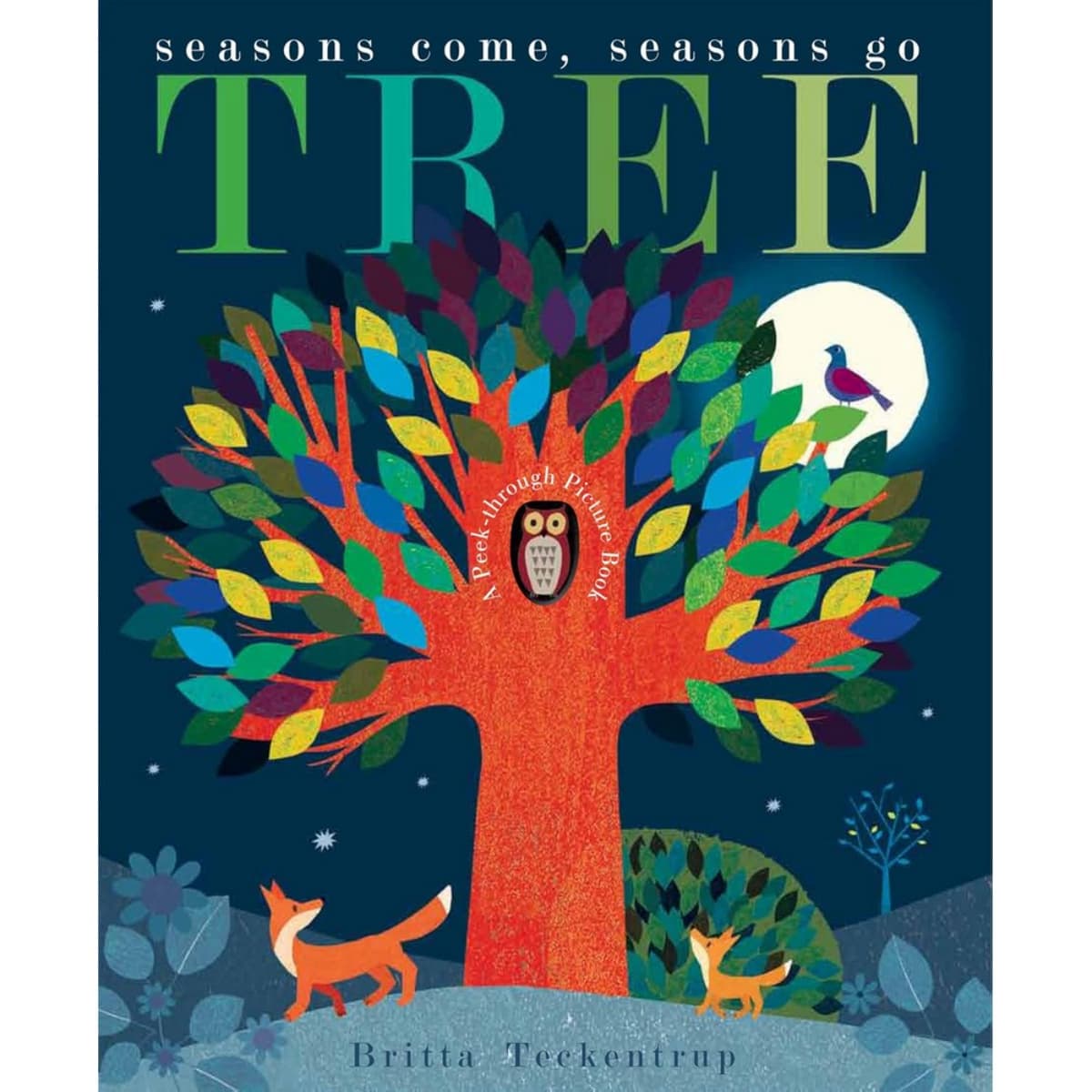 Tree : Seasons Come, Seasons Go by Patricia Hegarty - 10 Sep 2015 - 9781848691810