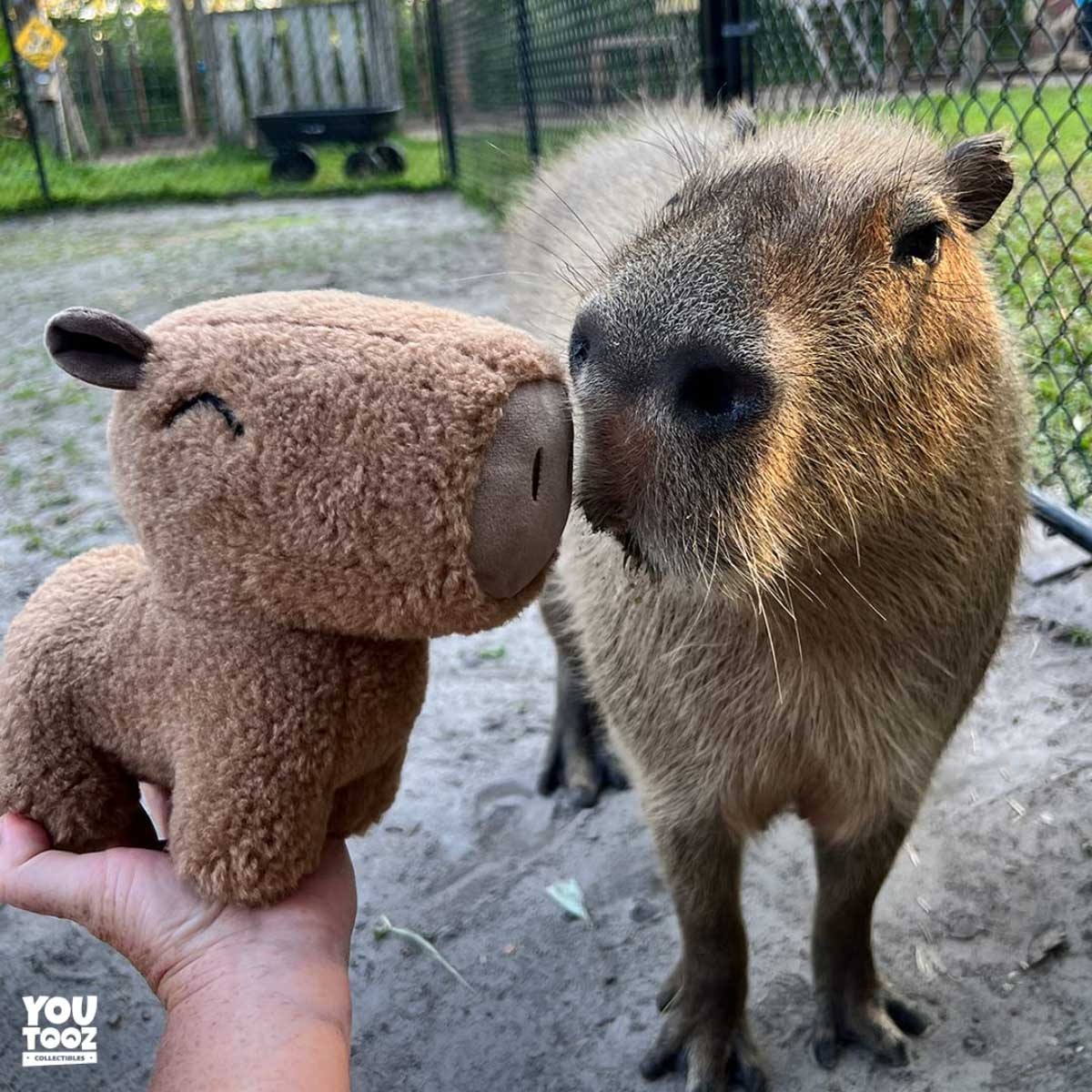 Youtooz 9" Meme Capybara Plush Toy
