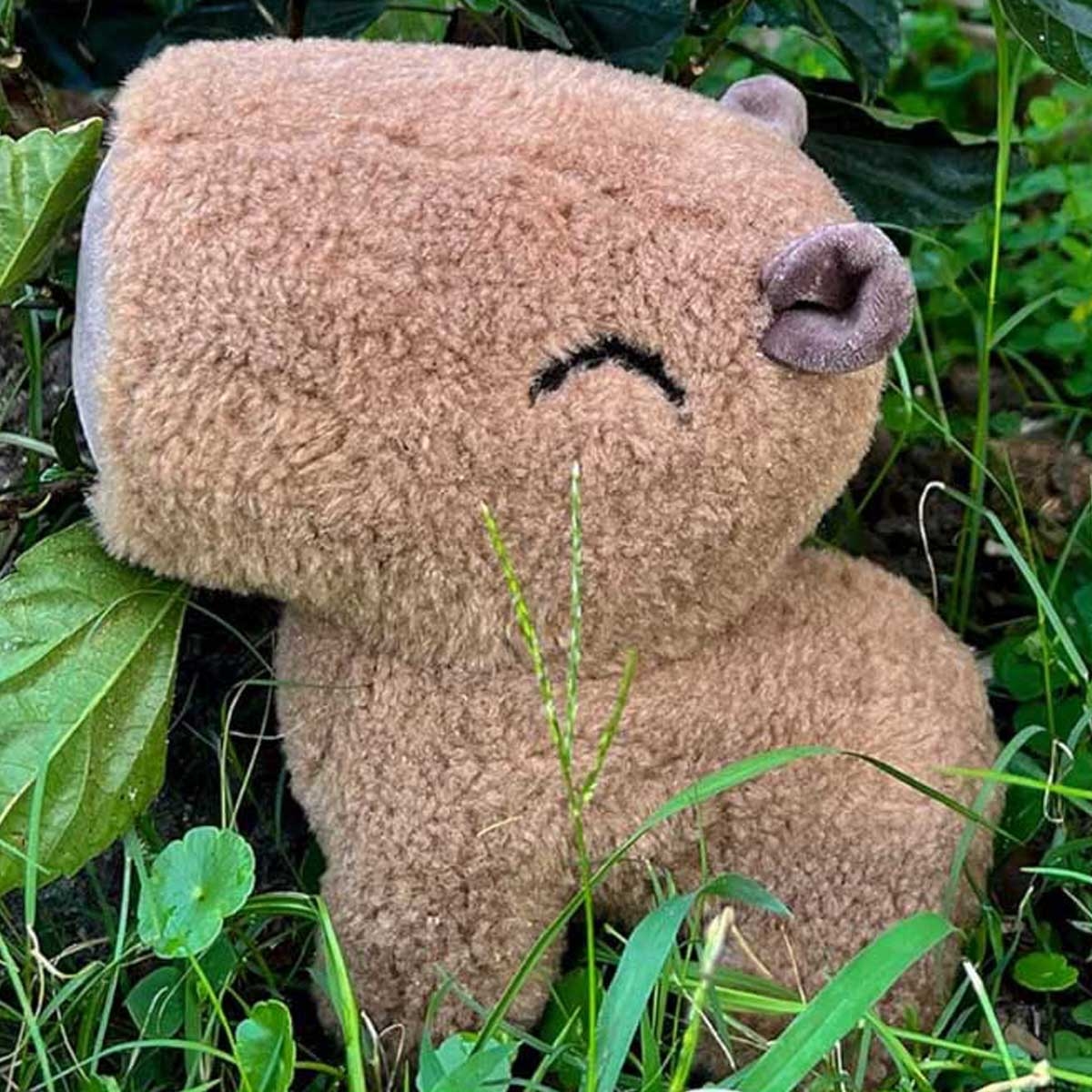 Youtooz 9" Meme Capybara Plush Toy