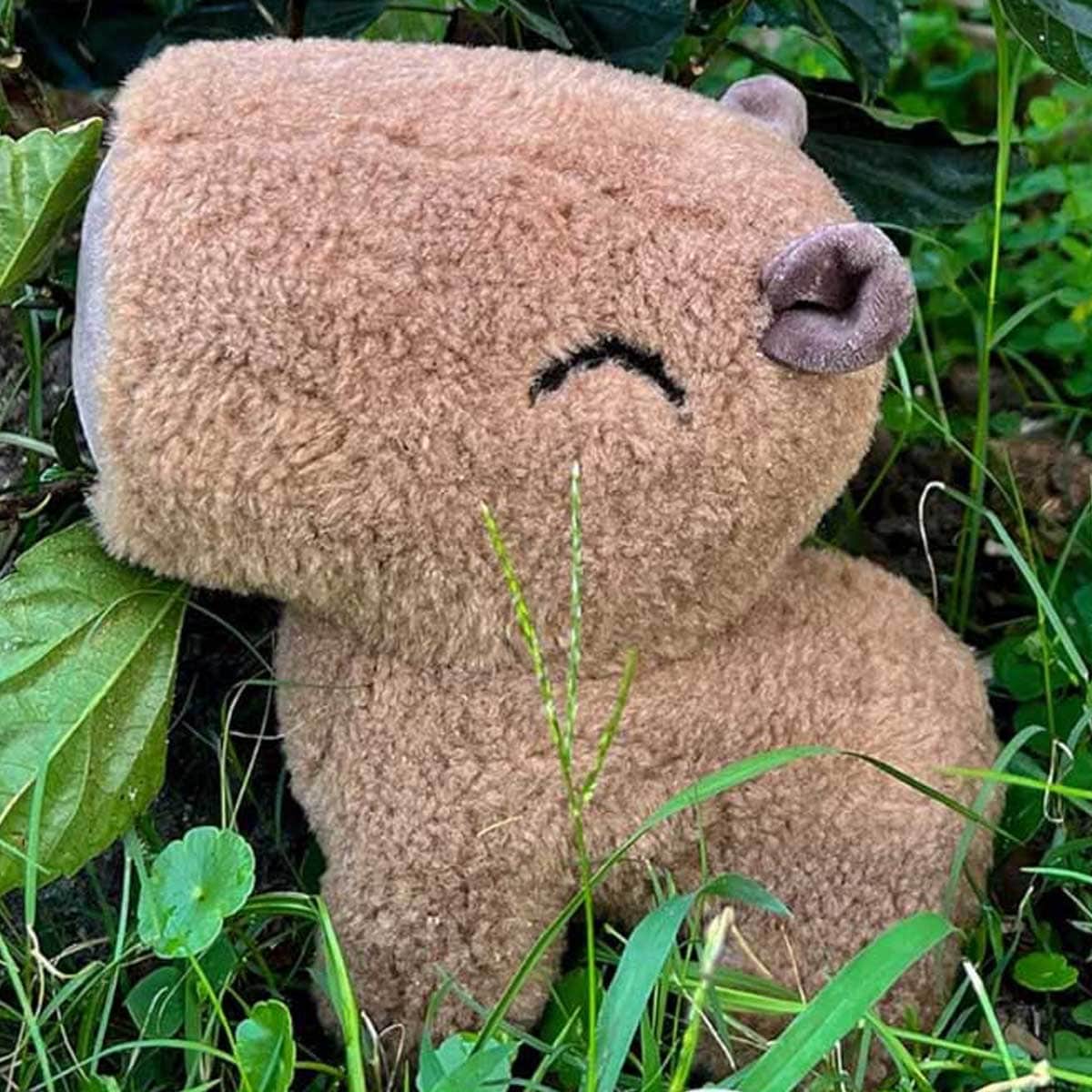 Youtooz 9" Meme Capybara Plush Toy