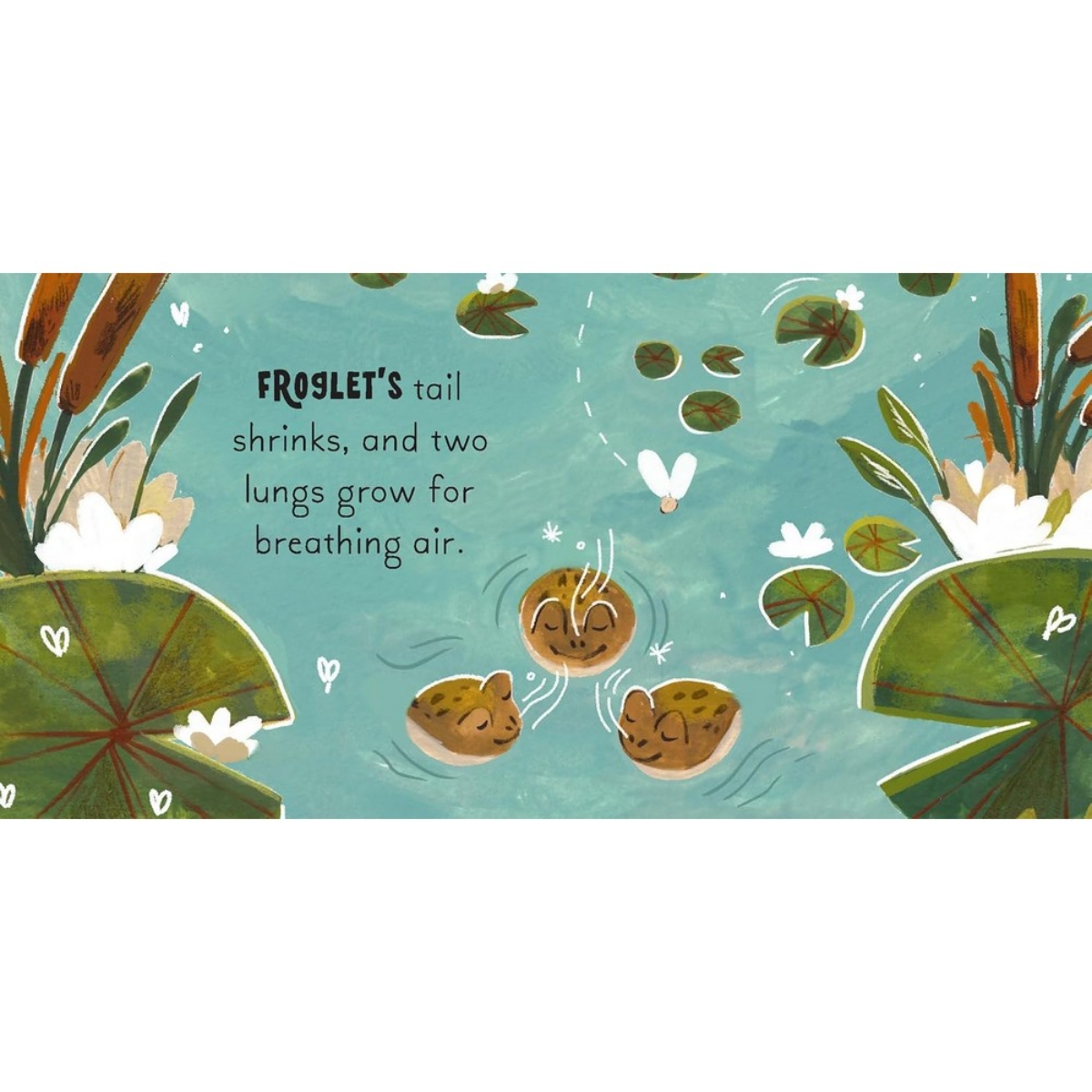 5 Minute Nature Story Box: مفاهيم علمية أولى للعقول النامية! تأليف غابي دوناي - 25 يونيو 2024