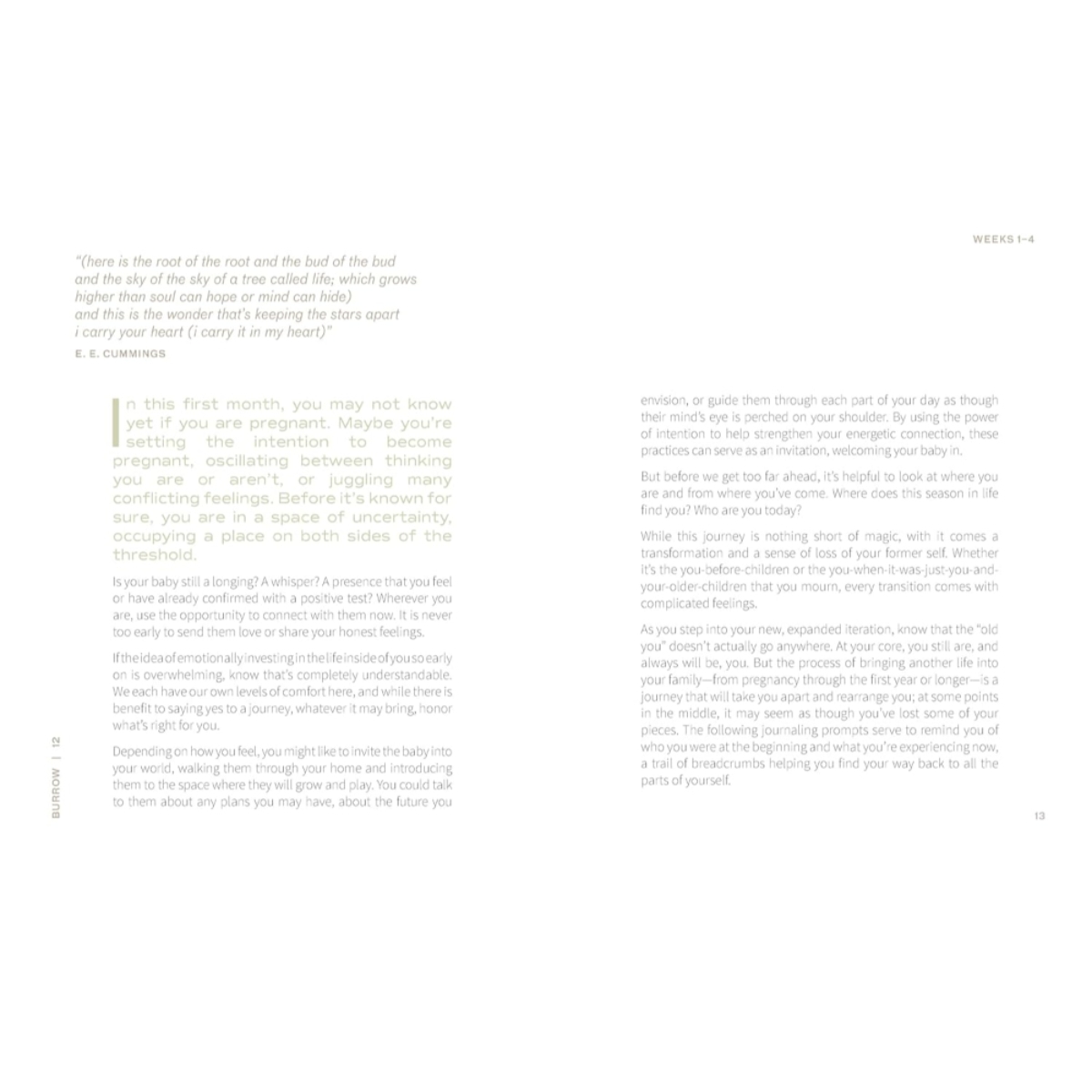 9 Months of Wonder: دليل شهري وأسئلة موجهة للأم الواعية المستقبلية تأليف راشيل غارهان - 45356