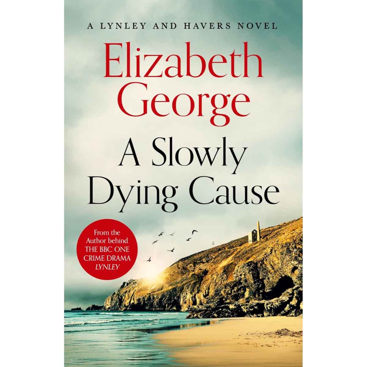A Slowly Dying Cause by Elizabeth George - 25-09-2025