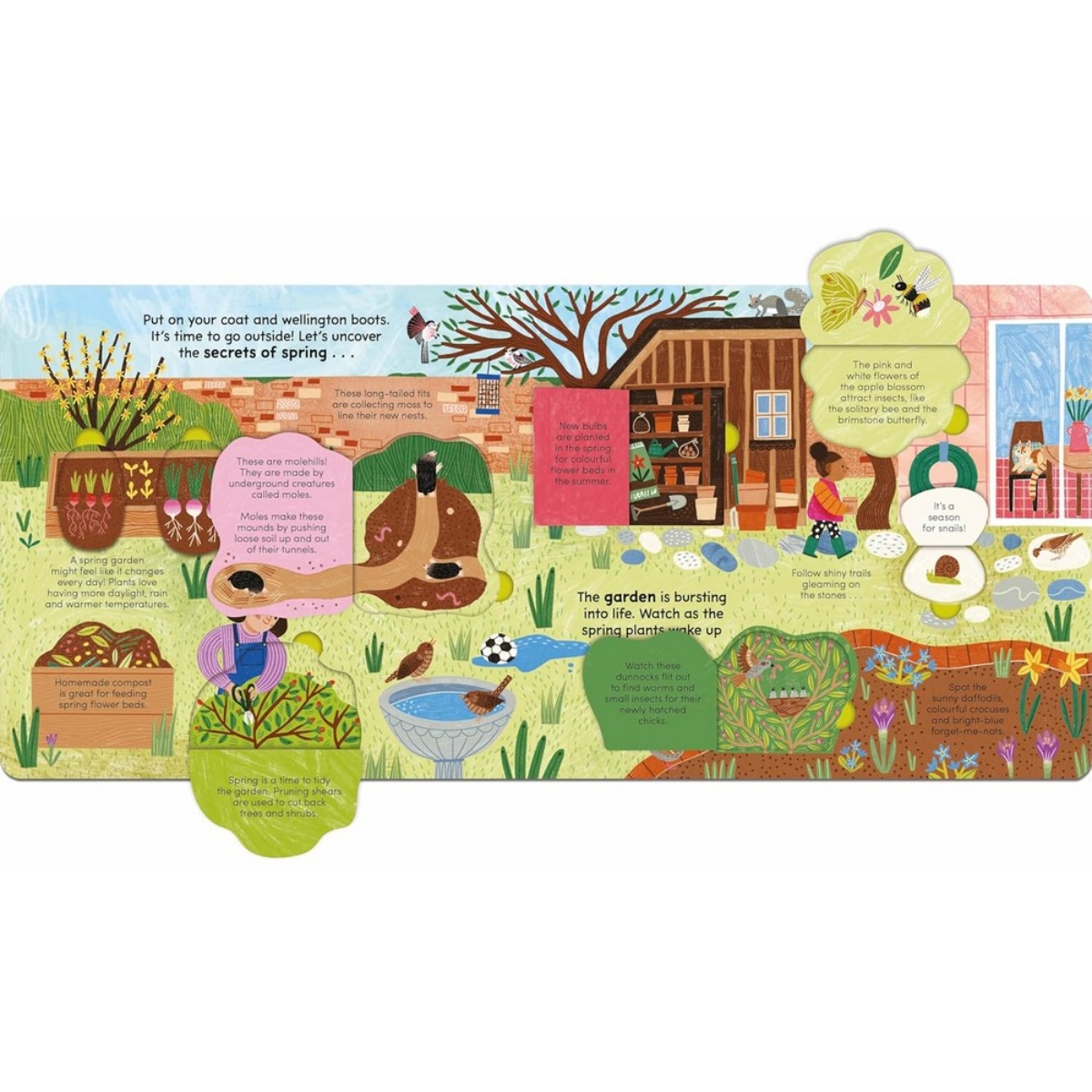 A Walk in Spring: ارفع اللوحات لاكتشاف أسرار الربيع تأليف ليدي بيرد وروز كوبدن - 8 فبراير 2024