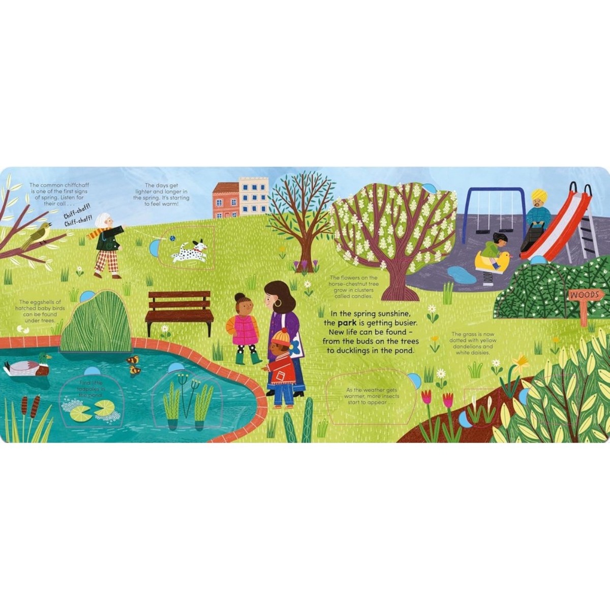 A Walk in Spring: ارفع اللوحات لاكتشاف أسرار الربيع تأليف ليدي بيرد وروز كوبدن - 8 فبراير 2024