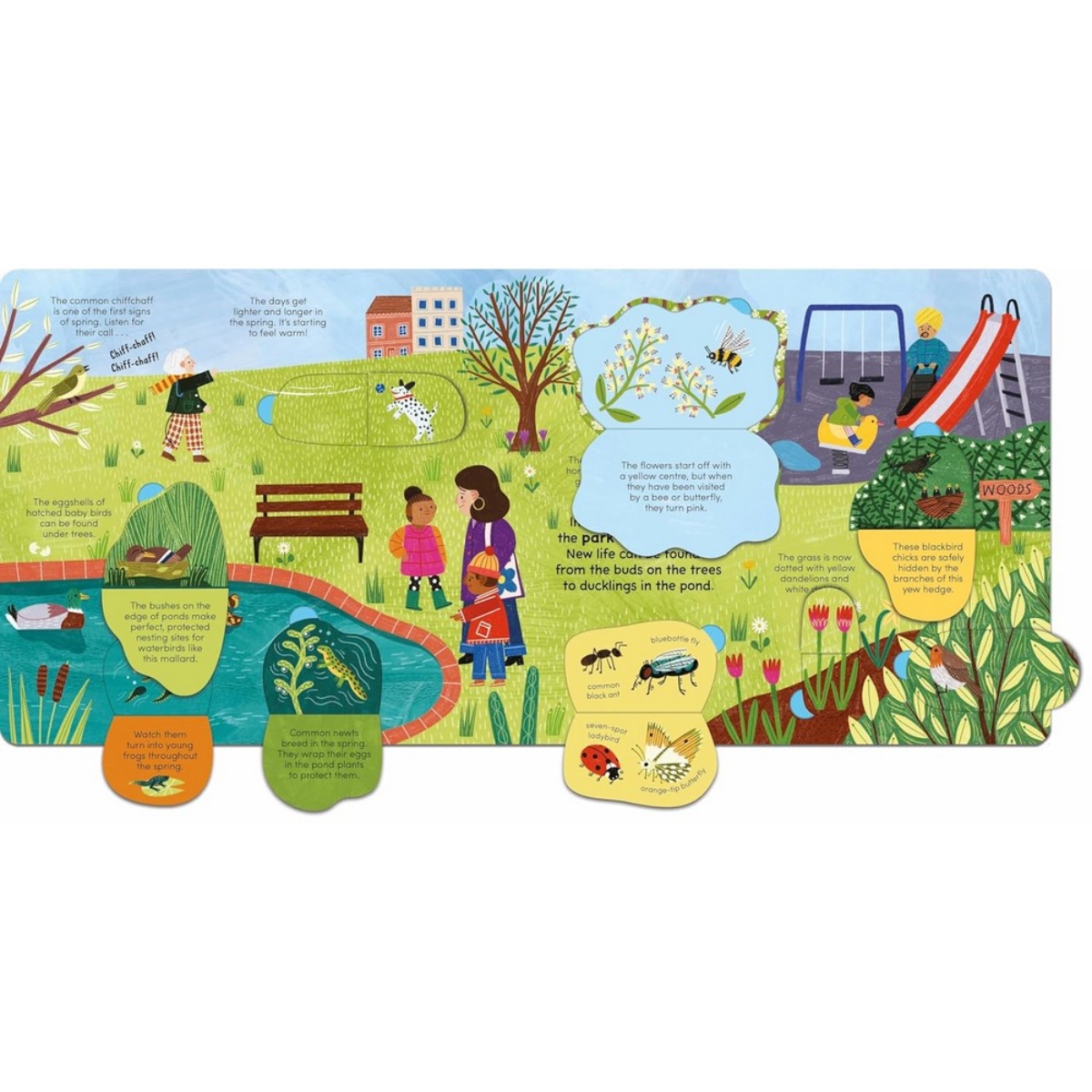 A Walk in Spring: ارفع اللوحات لاكتشاف أسرار الربيع تأليف ليدي بيرد وروز كوبدن - 8 فبراير 2024