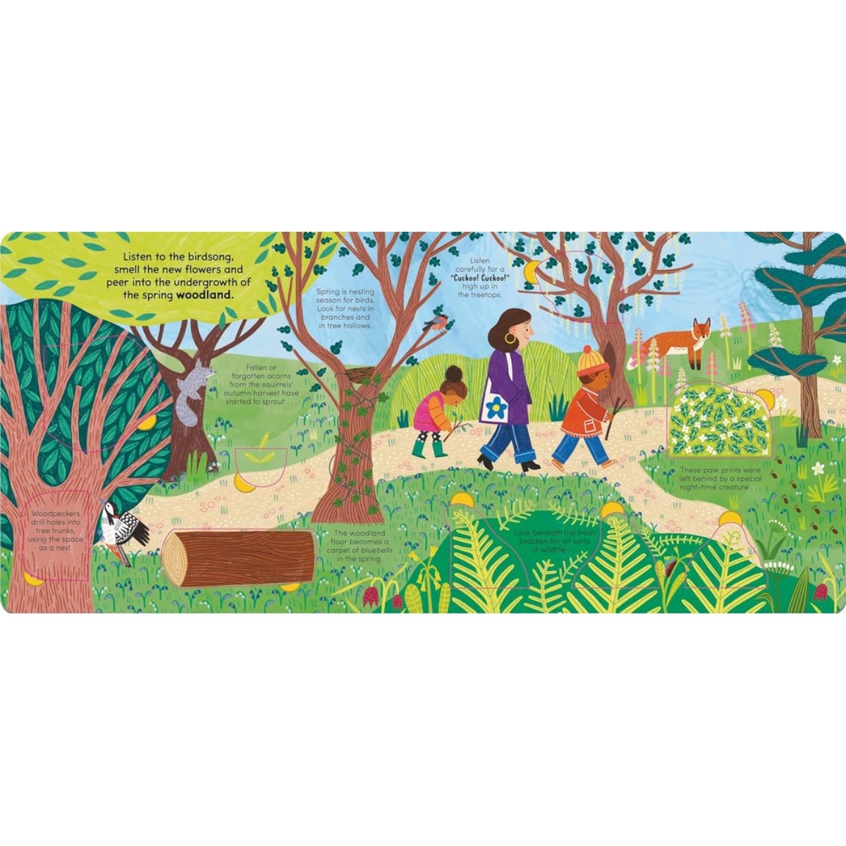 A Walk in Spring: ارفع اللوحات لاكتشاف أسرار الربيع تأليف ليدي بيرد وروز كوبدن - 8 فبراير 2024