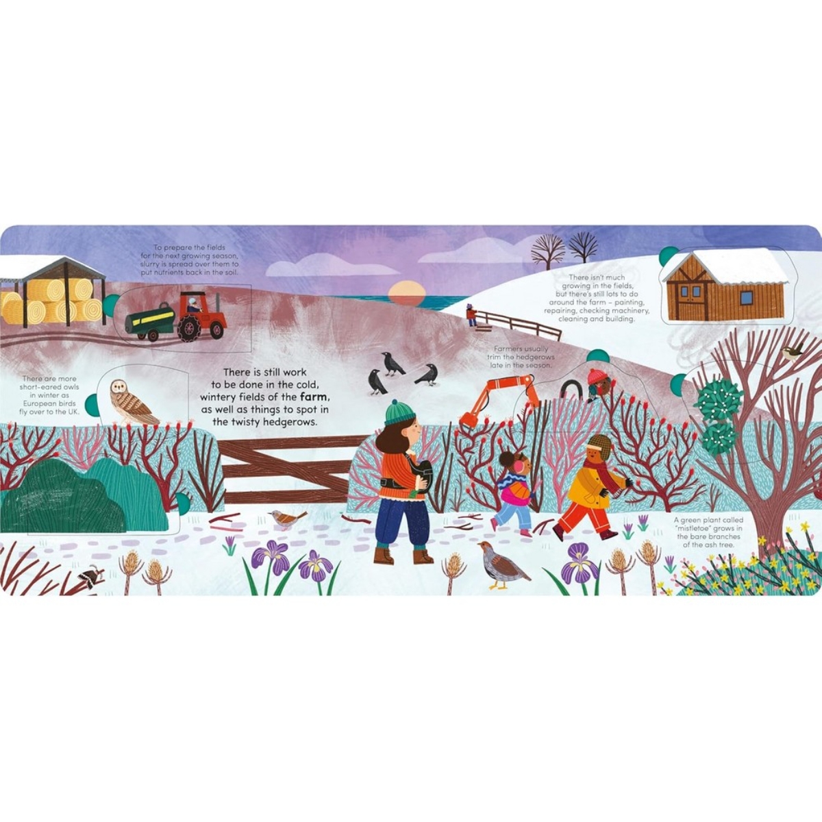 A Walk in Winter: ارفع الصفحات لتكشف أسرار الموسم من تأليف ليدي بيرد - 7 نوفمبر 2024