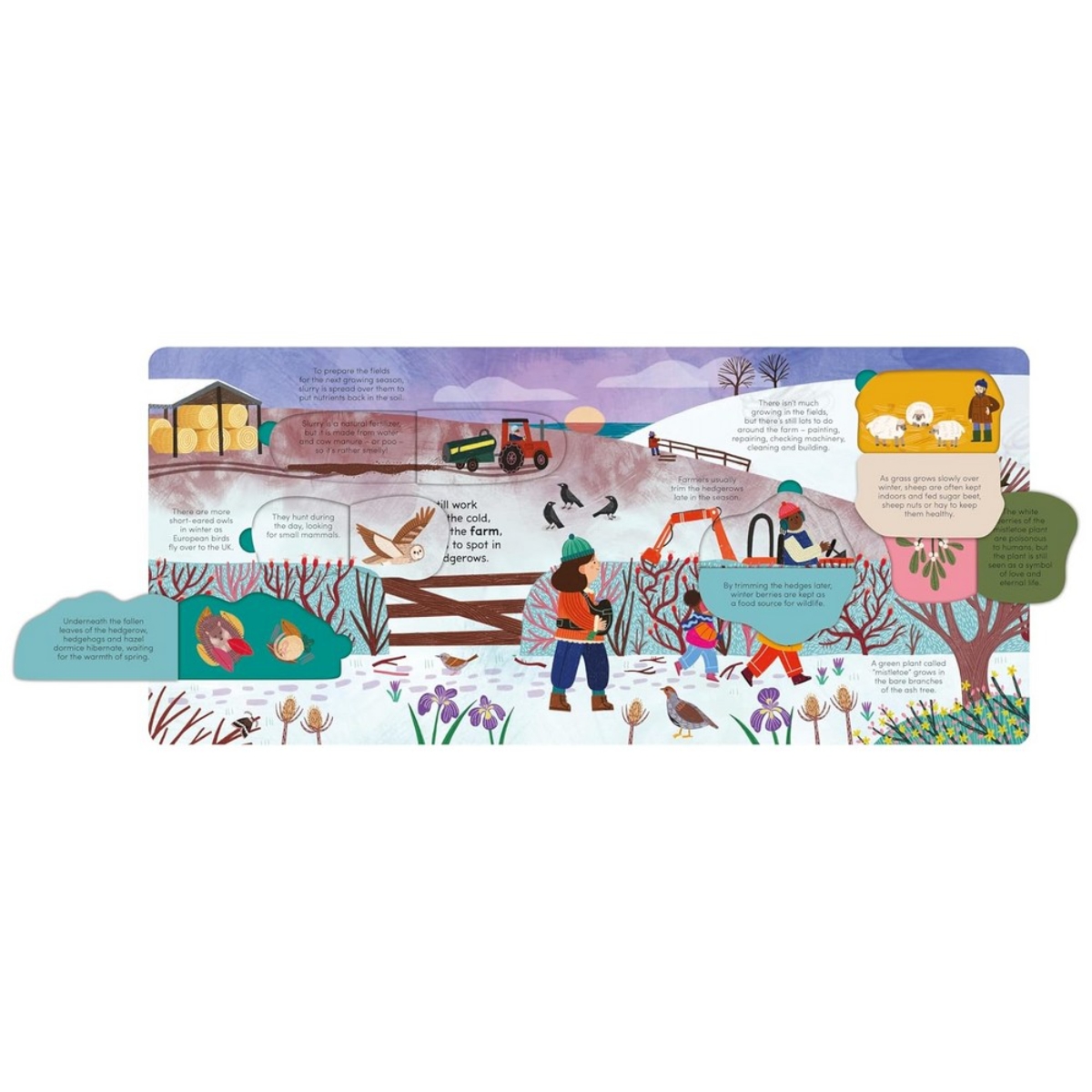 A Walk in Winter: ارفع الصفحات لتكشف أسرار الموسم من تأليف ليدي بيرد - 7 نوفمبر 2024