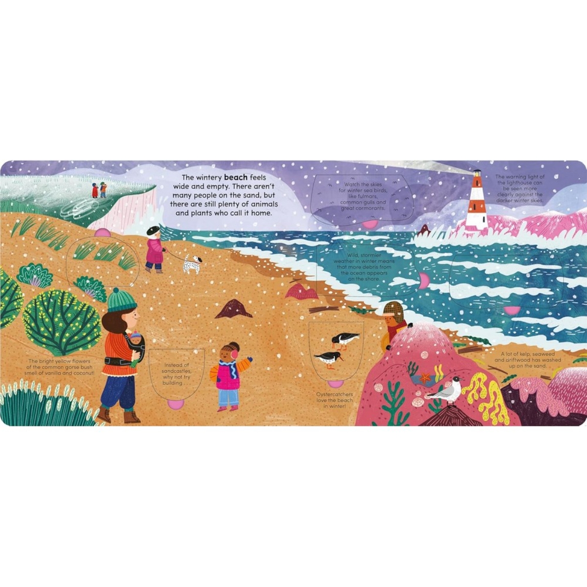 A Walk in Winter: ارفع الصفحات لتكشف أسرار الموسم من تأليف ليدي بيرد - 7 نوفمبر 2024