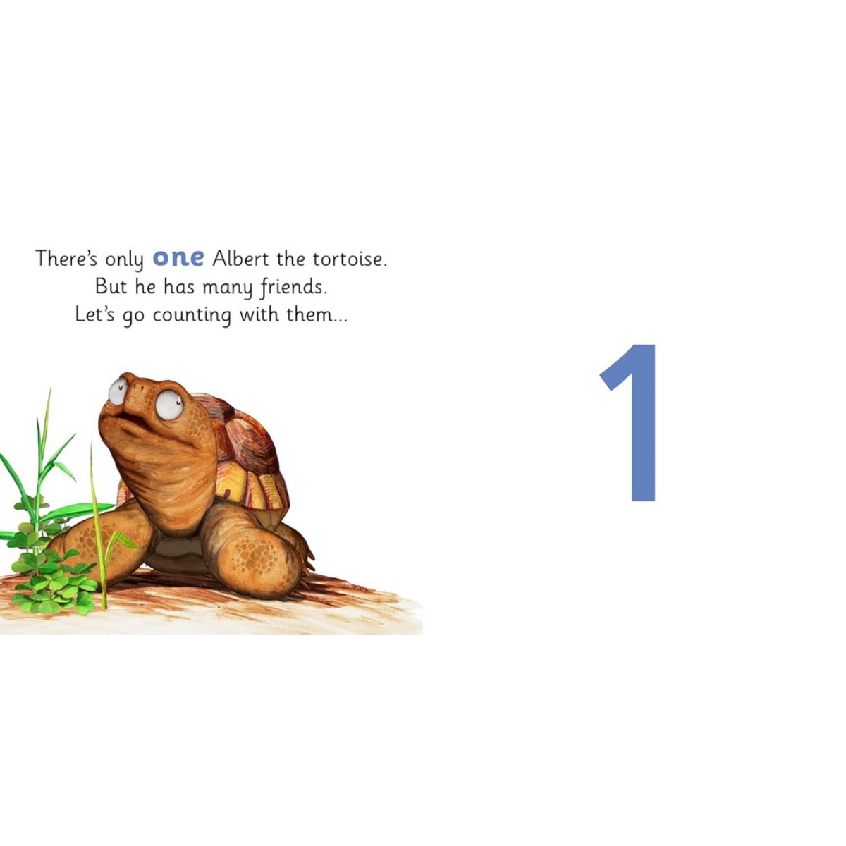 Albert 123: تأليف إيان براون و أوين كلارك - 5 نوفمبر 2024