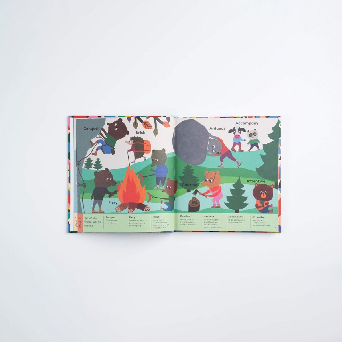 An Interesting Word for Every Day of the Year : كلمات مثيرة للقارئ المبتدئ تأليف الدكتورة ميريديث إل. رو - 7 يناير 2021